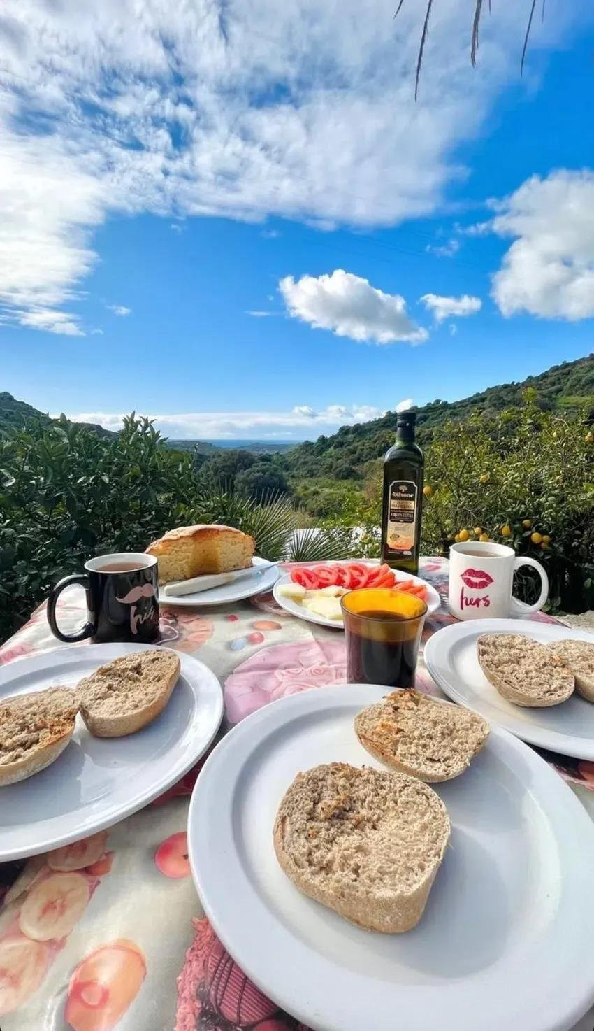 3 bedroom Finca in Estepona, Malaga, Spain – 428-04467D