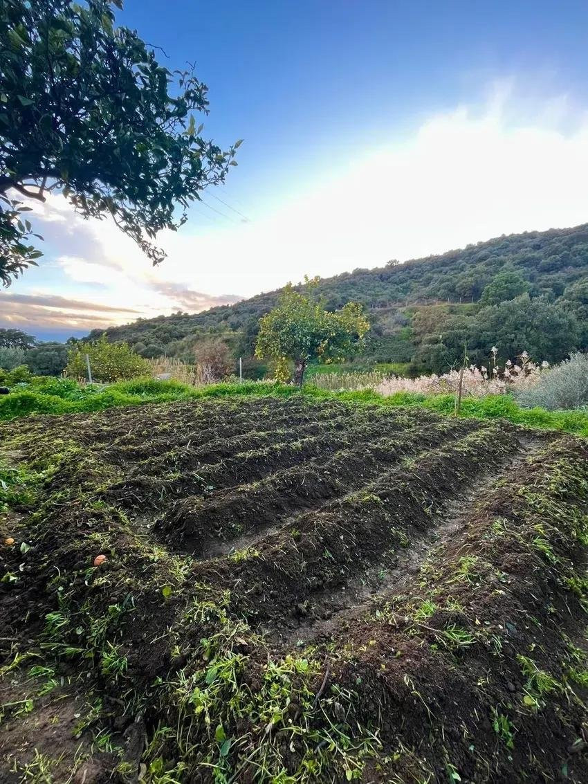 3 bedroom Finca in Estepona, Malaga, Spain – 428-04467D