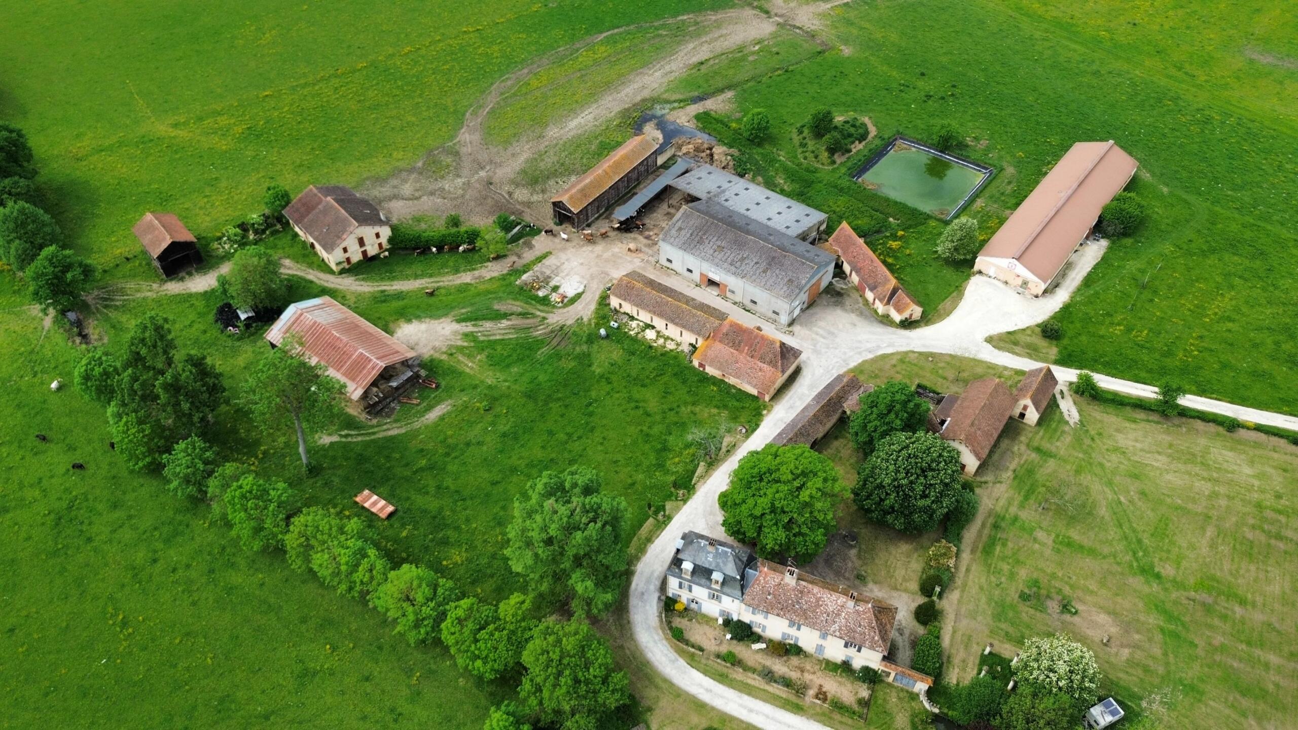 Peaceful farm and Chateau in Bergerac, Aquitaine – France – BVI79600
