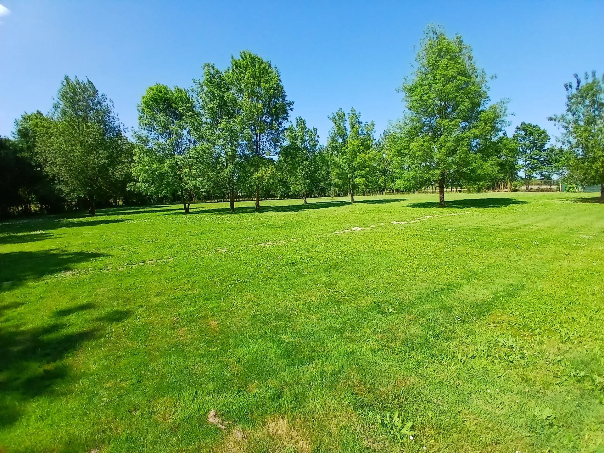 Impressive 5 bedroom villa with pool, beautiful grounds and income potential, Poitou-Charentes – France – BVI81014