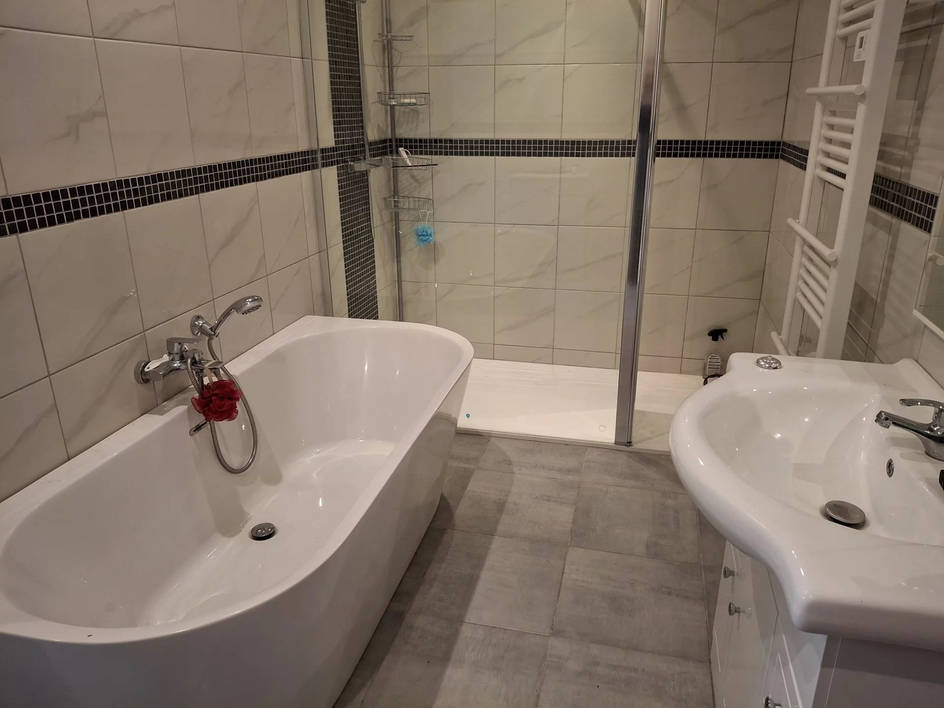 Charming Country Home in Alloue with Vaste Garages, Outbuilding and Spa, Poitou-Charentes – France – BVI78317