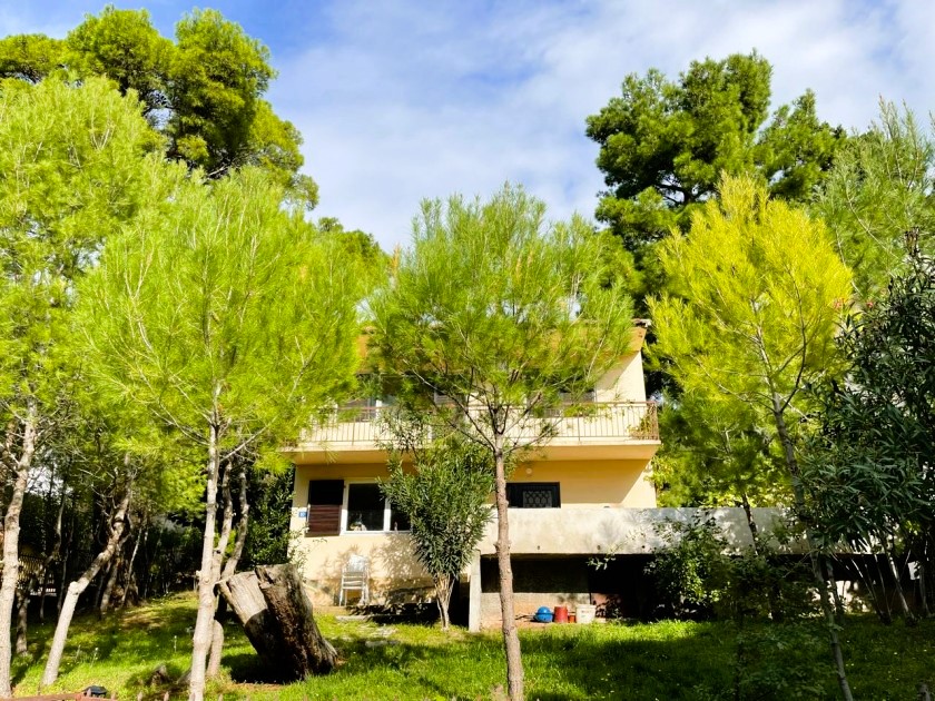 Beautiful Sea View House for Sale in Bar – 3 Bedrooms, Zeleni Pojas, Montenegro – MREALE60