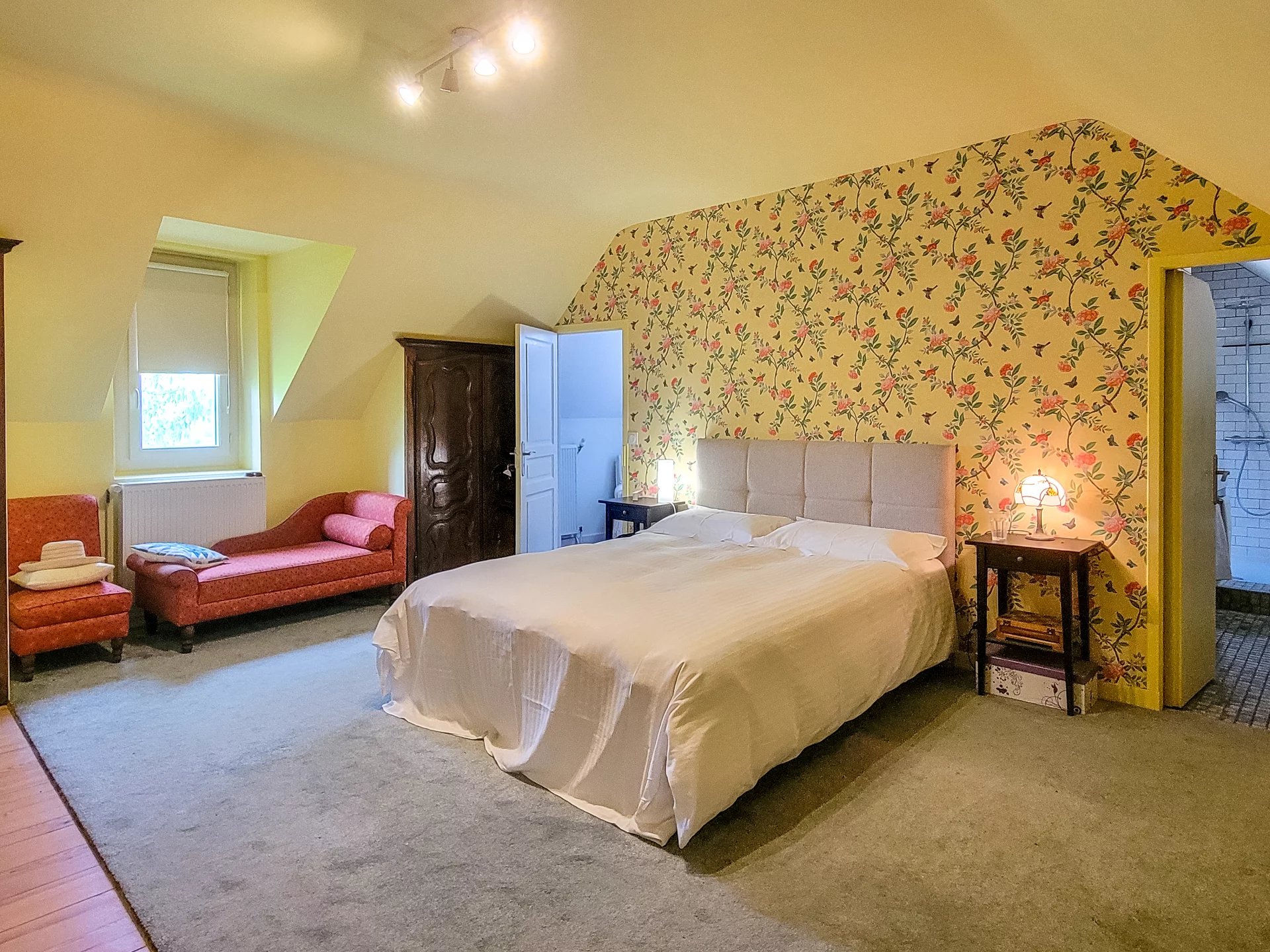 A unique slice of French village life – former doctor’s house with apartment and studio space, Midi-Pyrénées – France – BVI78163