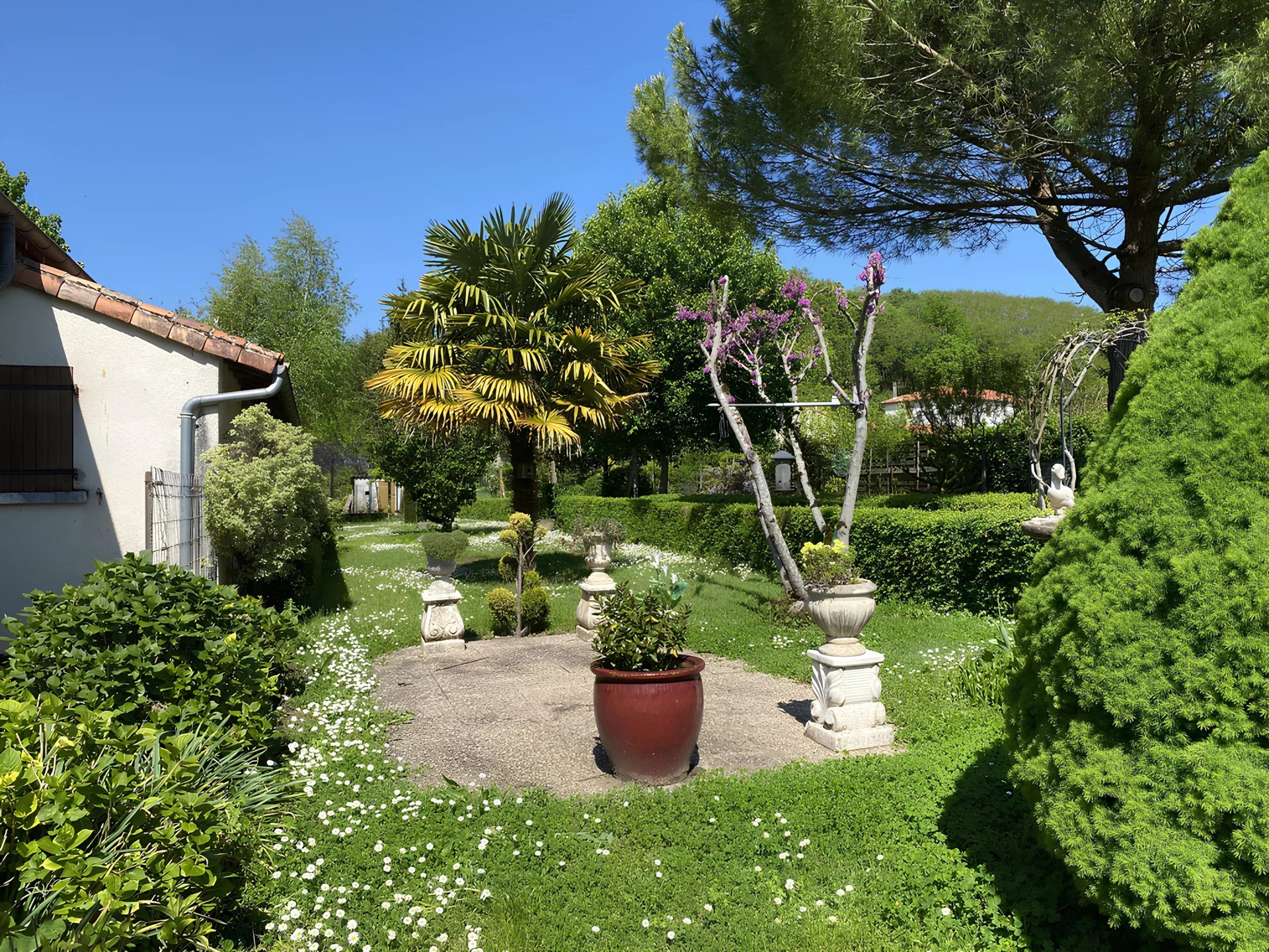 5-bedroom home set on over 2000m² of land, Poitou-Charentes – France – BVI80464