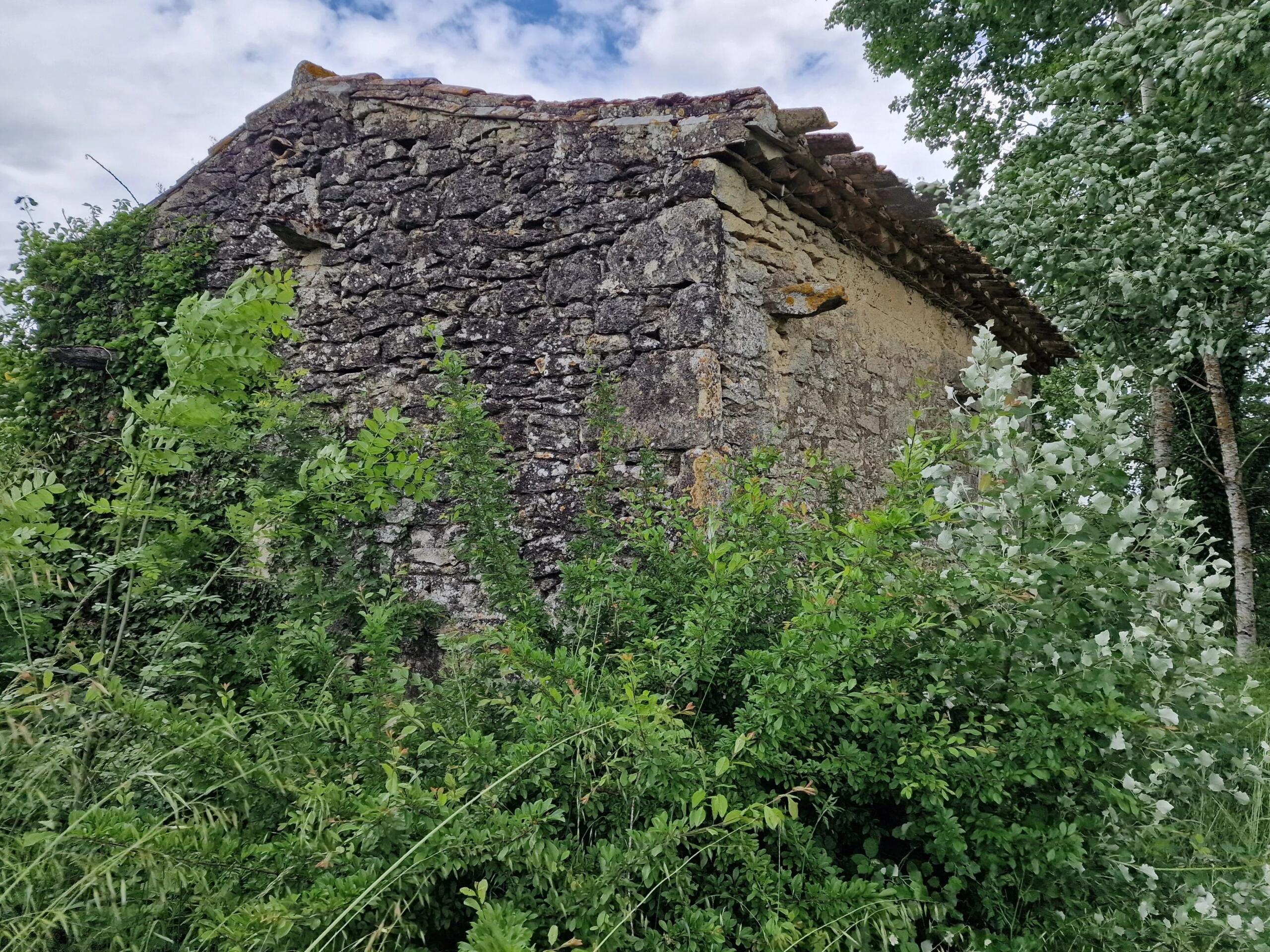 Modern single-story house in Monsegur., Aquitaine – France – BVI80963