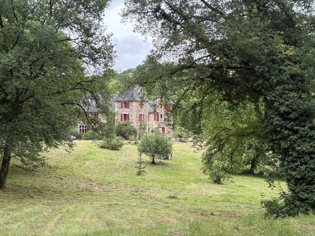 14 bedroom chateau in Lagrauliere, Corrèze, France