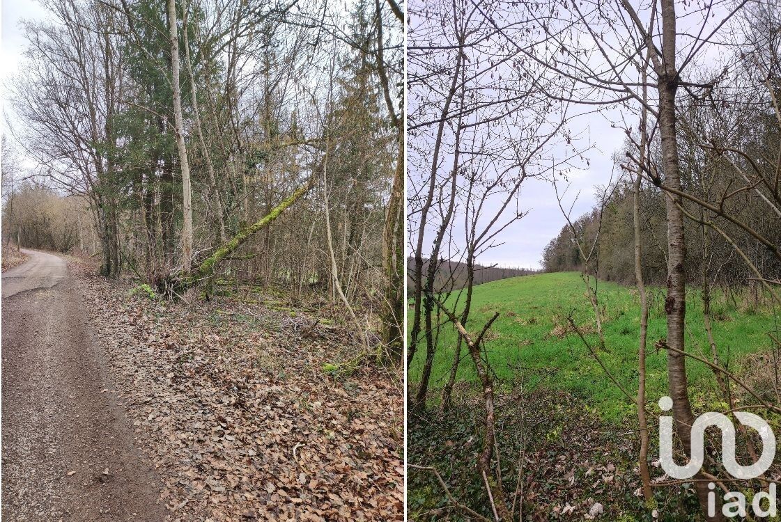 Terrain in Montauville, FR – 1640802