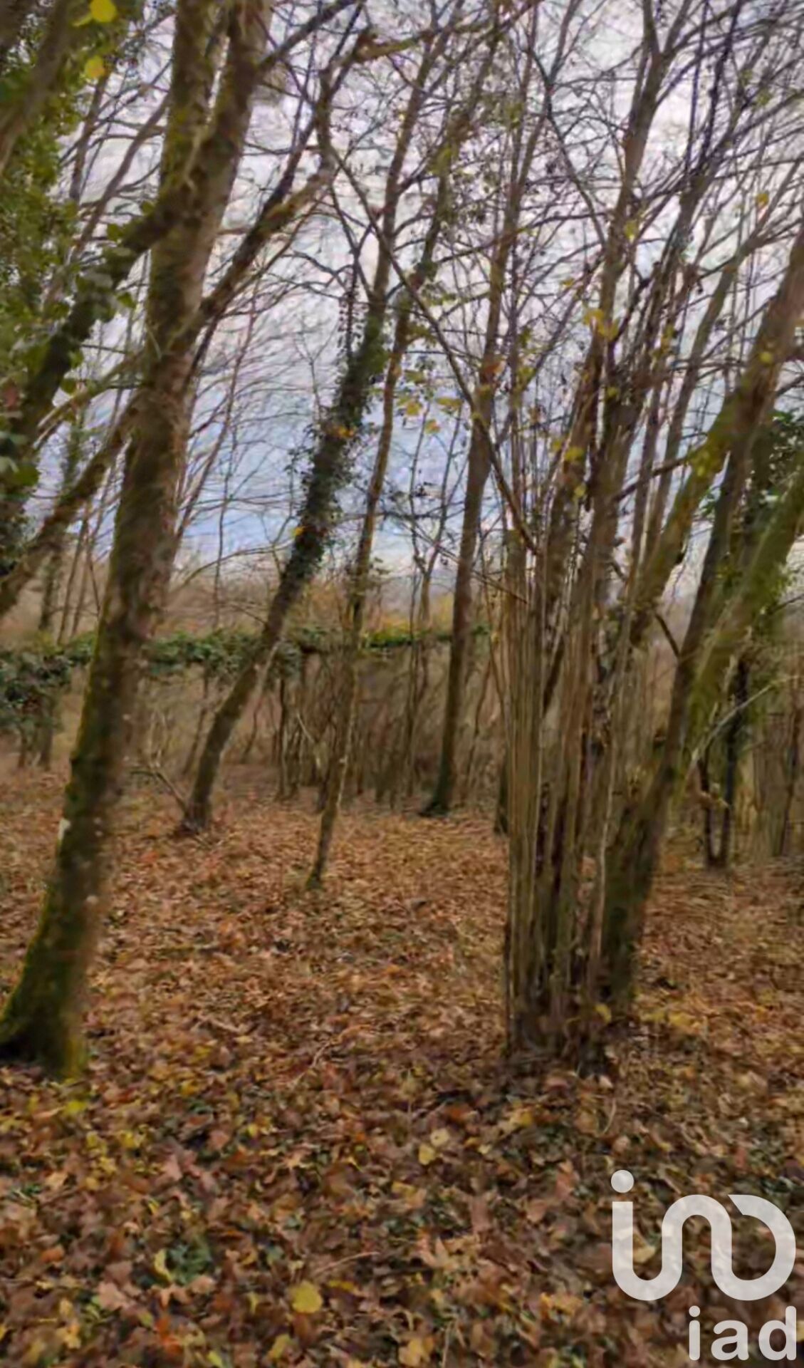 Terrain in Montauville, FR – 1640805