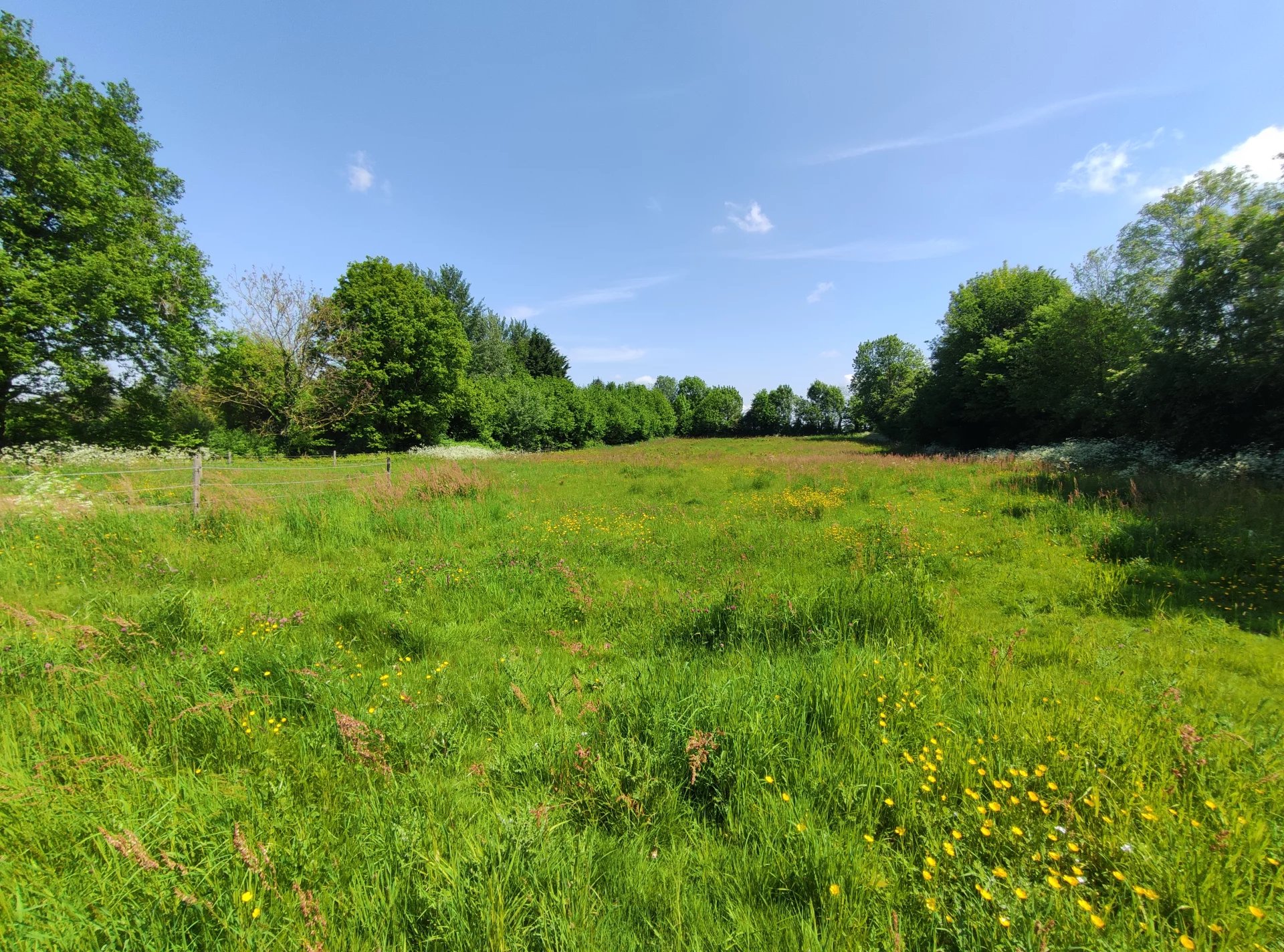 Well-Located 3-Bedroom Home with Land, Views and Versatile Living Space, Poitou-Charentes – France – BVI80944