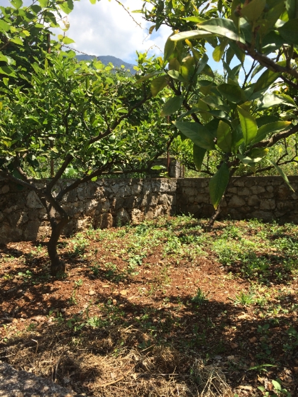 Plot in Dobre Vode, Montenegro – CMM3074