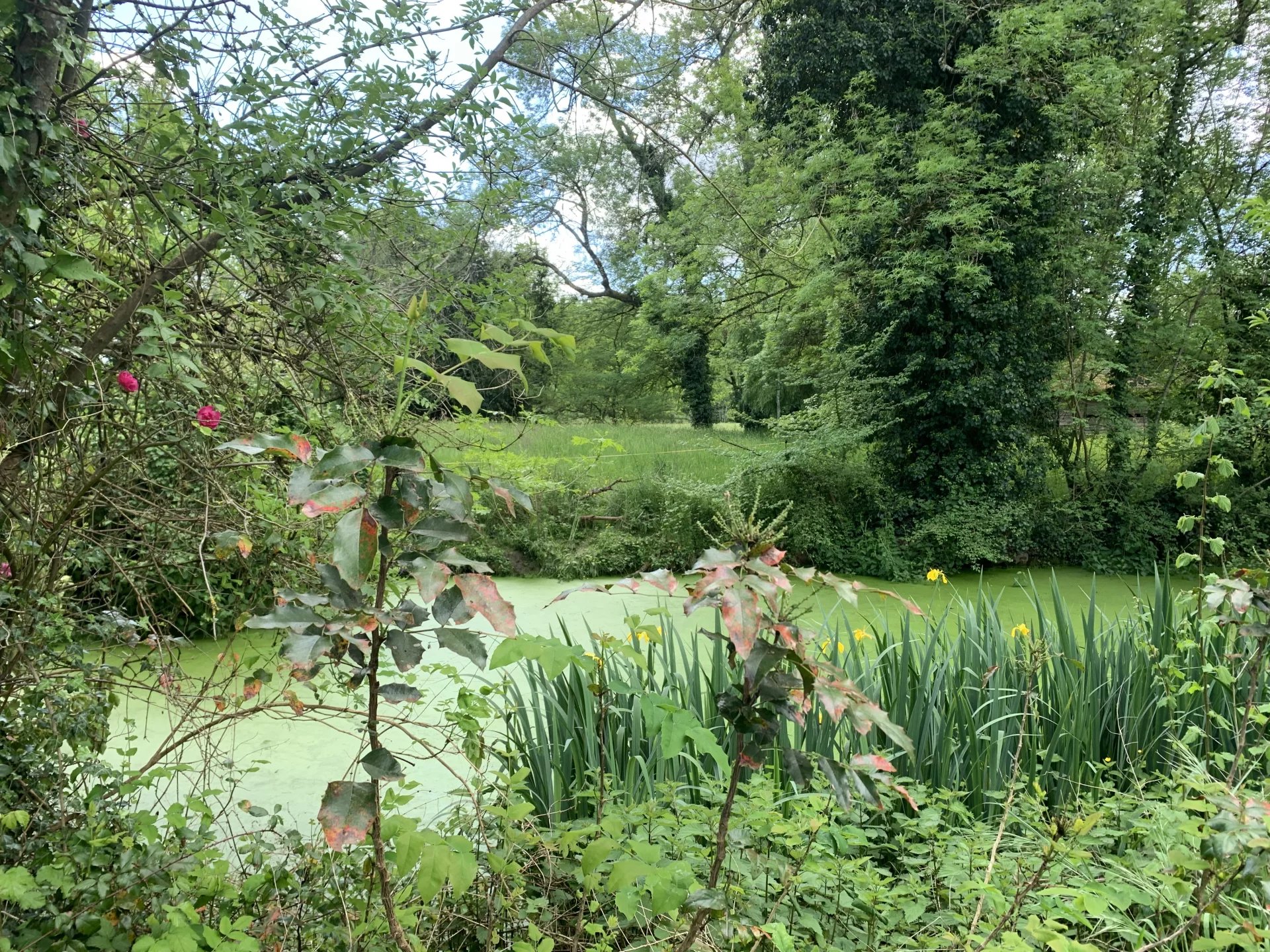 Stone house with 6 bedrooms, guest house and outbuildings, Aquitaine – France – BVI74995