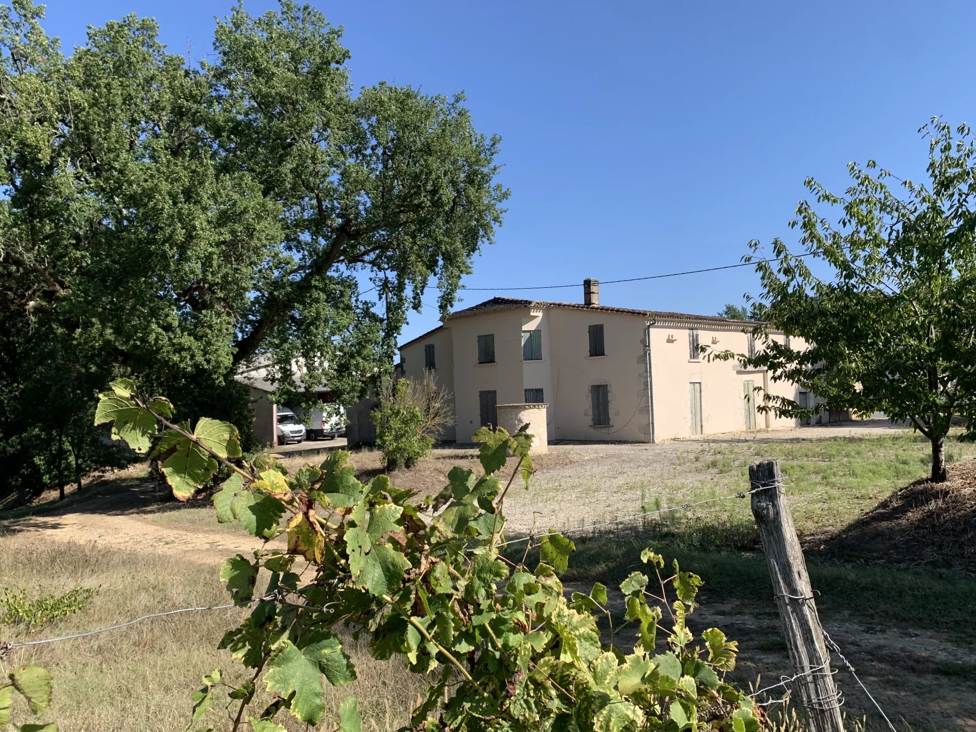 Wine estate AOC Côtes De Duras, Aquitaine – France – BVI71815