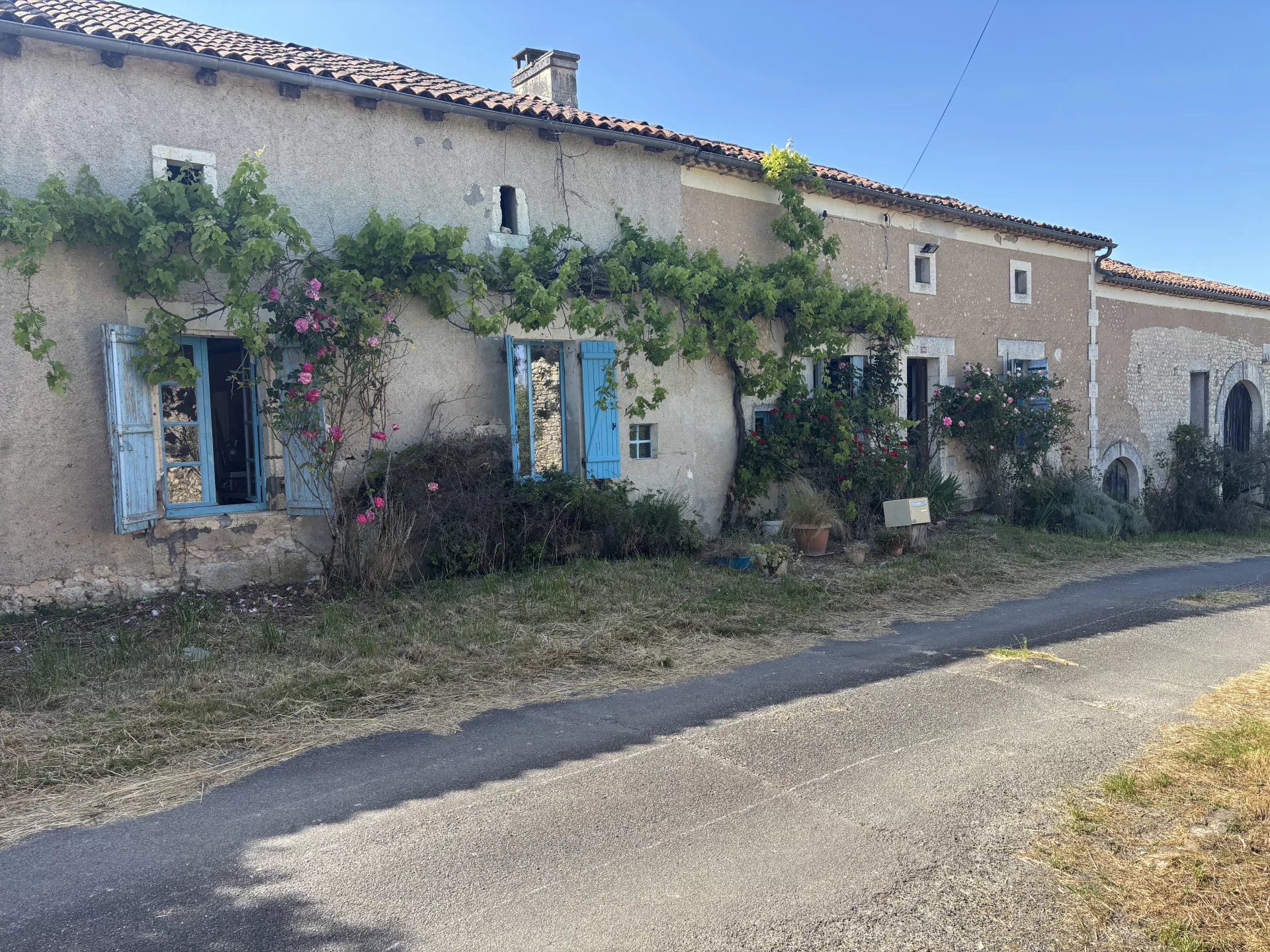 Traditional Charentaise Longere  in need of updating, Poitou-Charentes – France – BVI80860