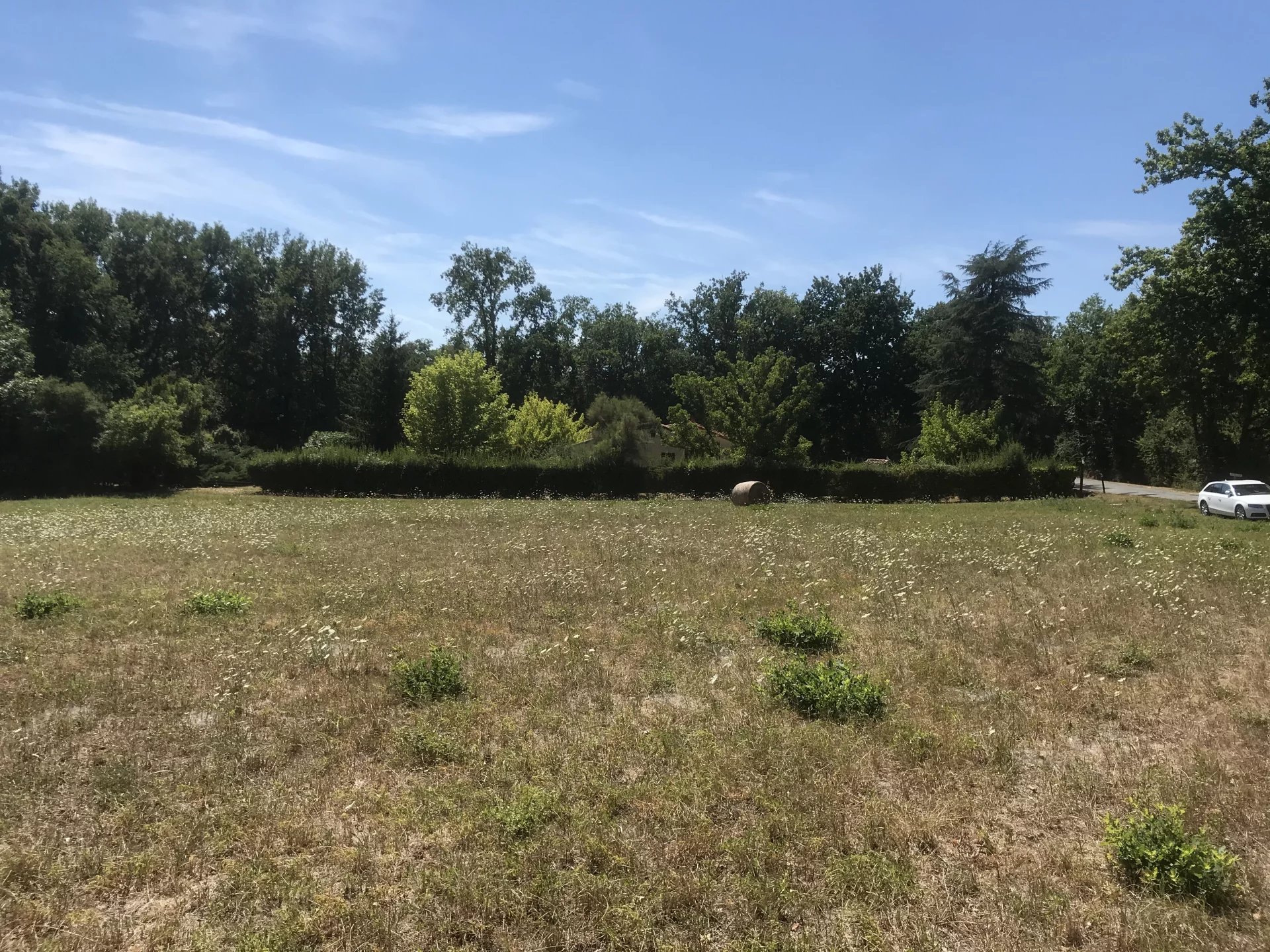 Building plot 6300 m², Midi-Pyrénées – France – BVI66028