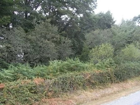 Land, Limousin – France – BVI71775