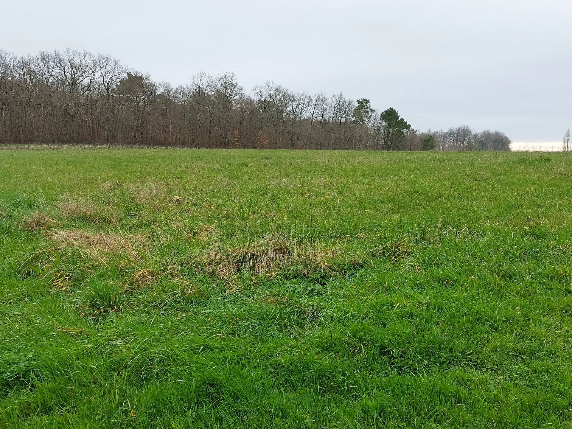 Building plot, Poitou-Charentes – France – BVI73947