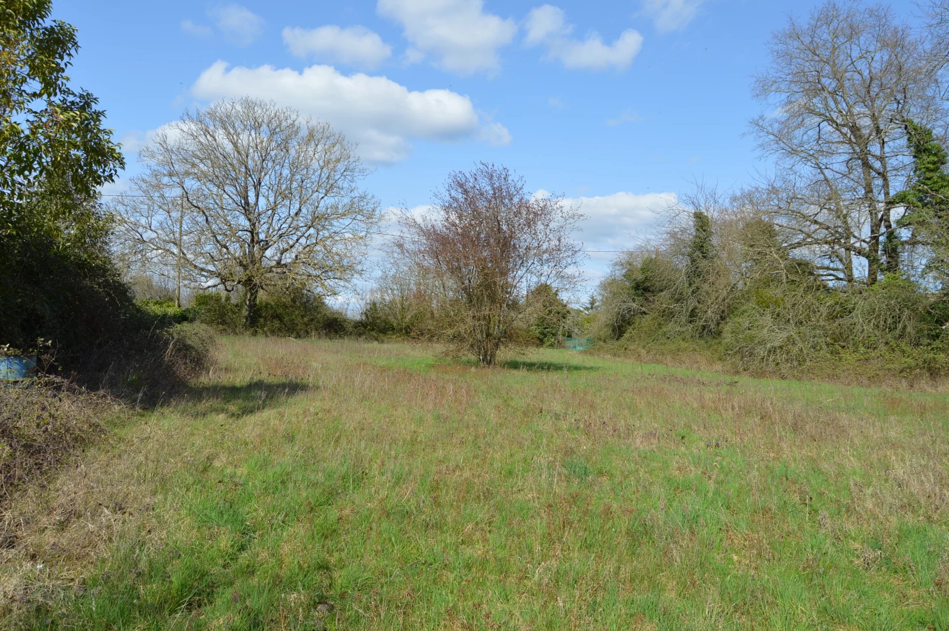 Building land of 2262 m² in a quiet hamlet, Poitou-Charentes – France – BVI65886