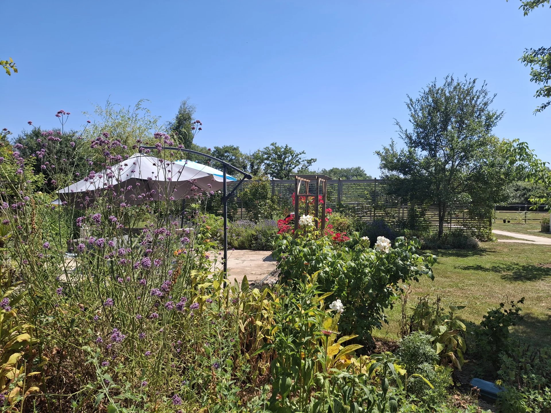 Lovely 2 bed cottage with beautiful gardens, outbuildings, stable, pony paddock and woodland, Poitou-Charentes – France – BVI81368