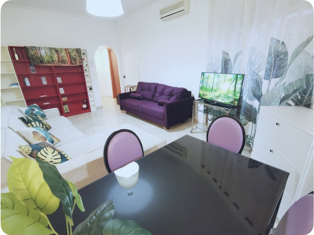 Apartment near the Center and Coloseum