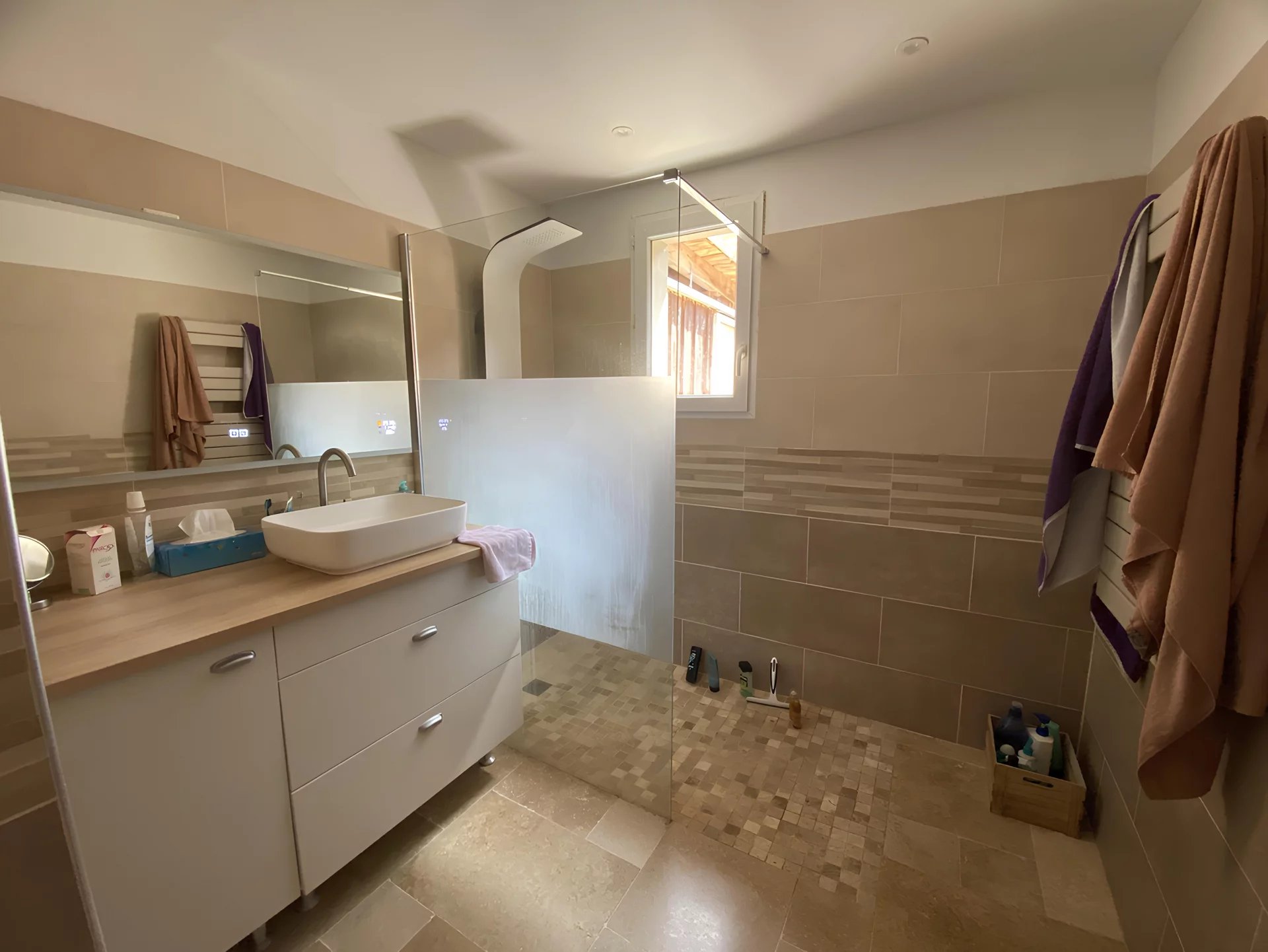 Single-Storey House in a Peaceful Setting with Large Garden, Poitou-Charentes – France – BVI81645