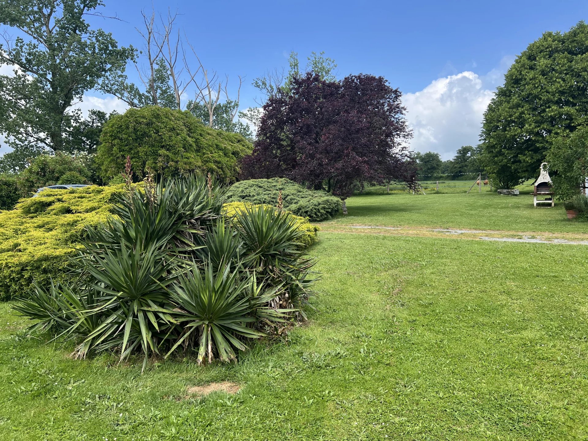 Agricultural property totalling 165 hectares with natural water sources, Limousin – France – BVI81493