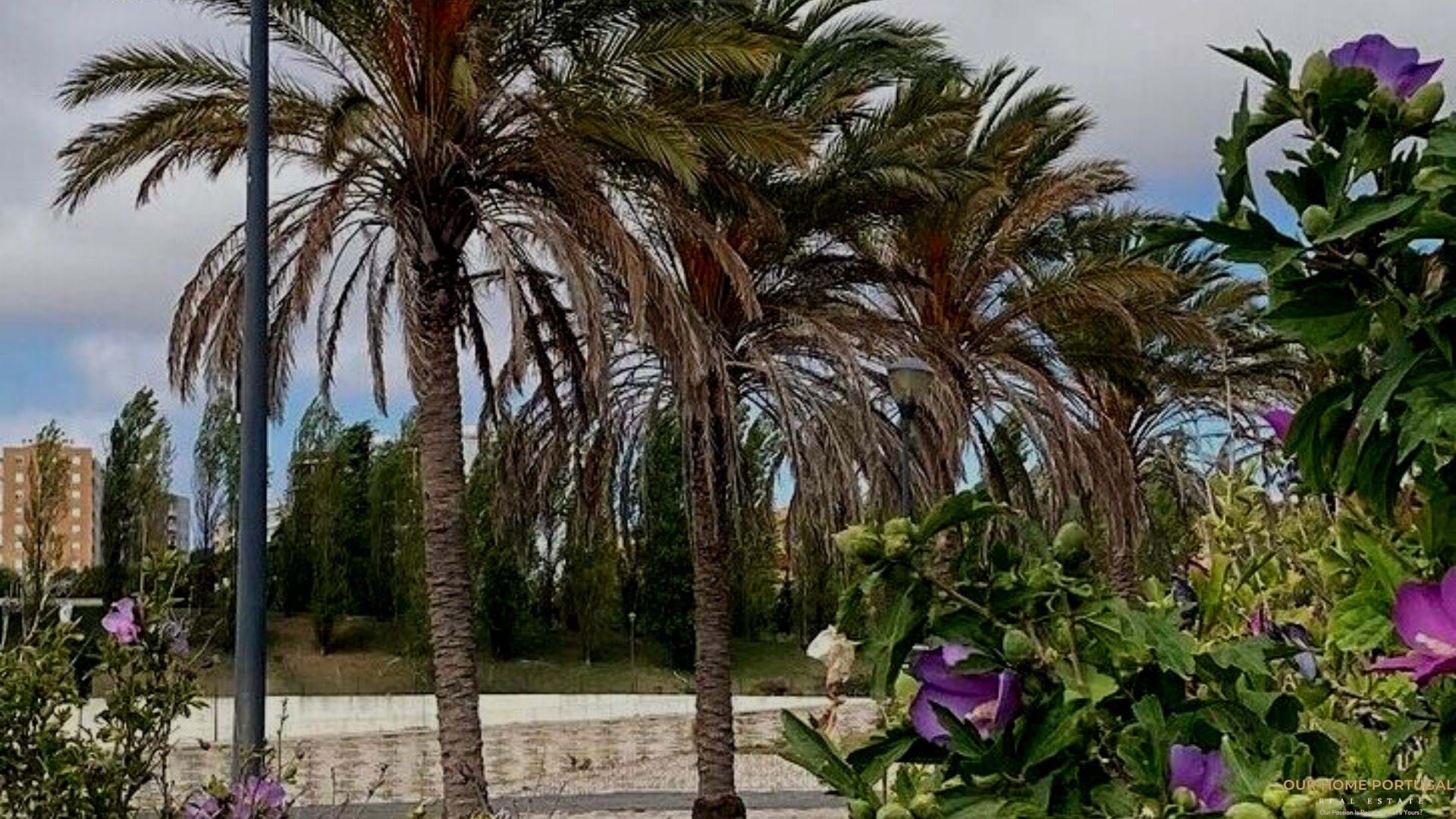 2 bedroom Apartment in Lumiar, Lisboa, Portugal – OHP 001-177