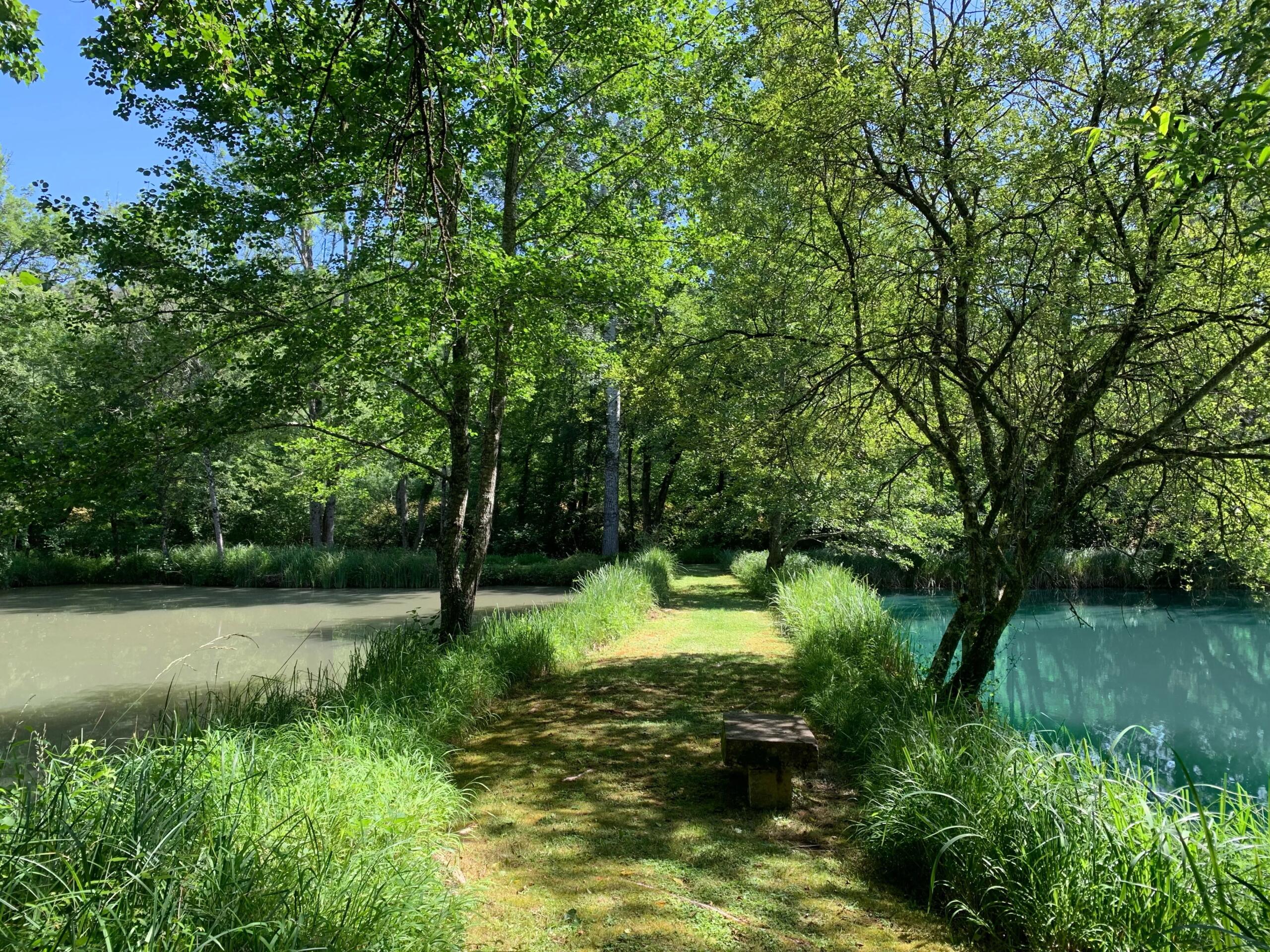 Single-storey home with well-stocked fishing lakes and beautiful mature gardens, Aquitaine – France – BVI81345