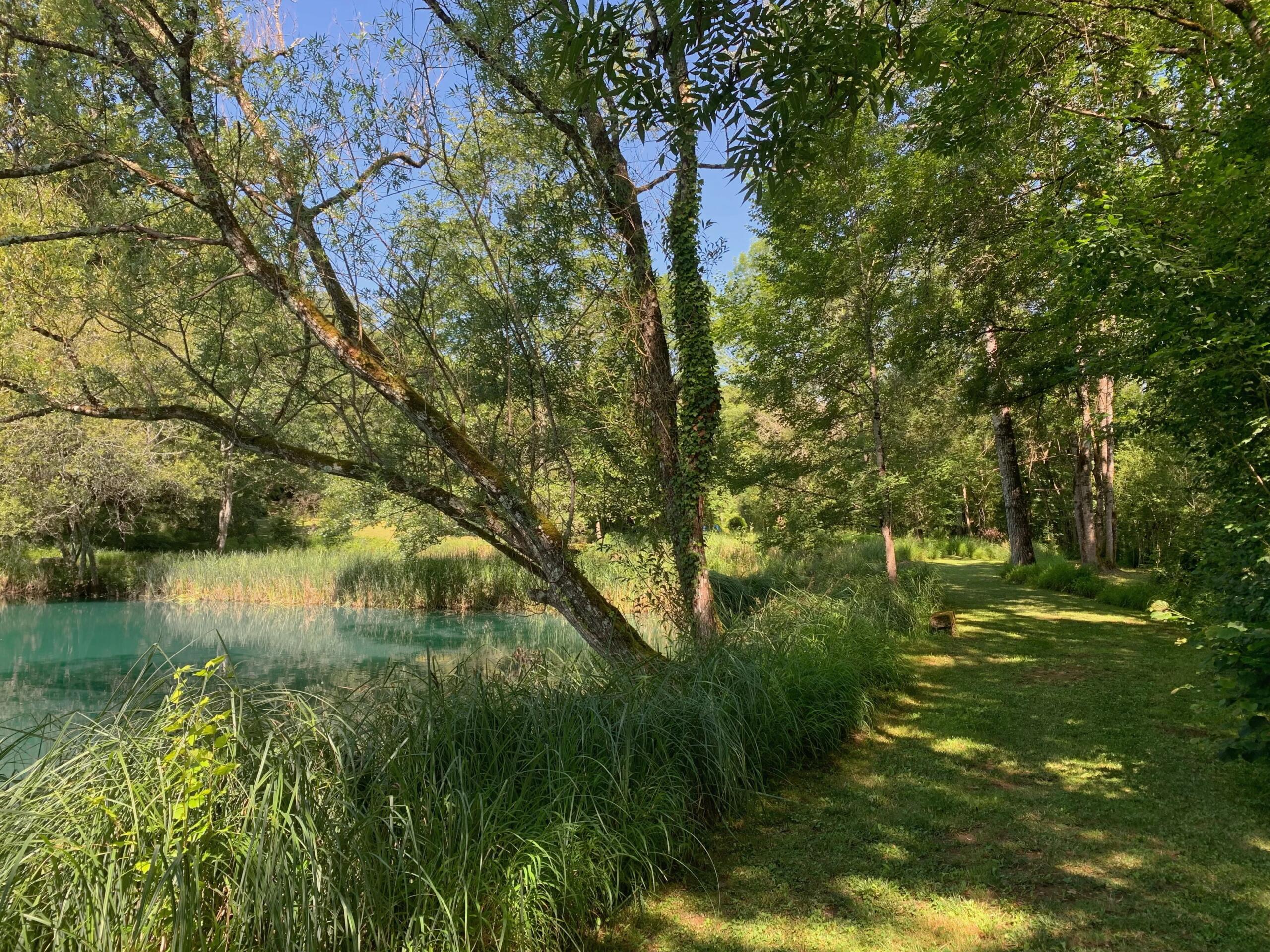 Single-storey home with well-stocked fishing lakes and beautiful mature gardens, Aquitaine – France – BVI81345