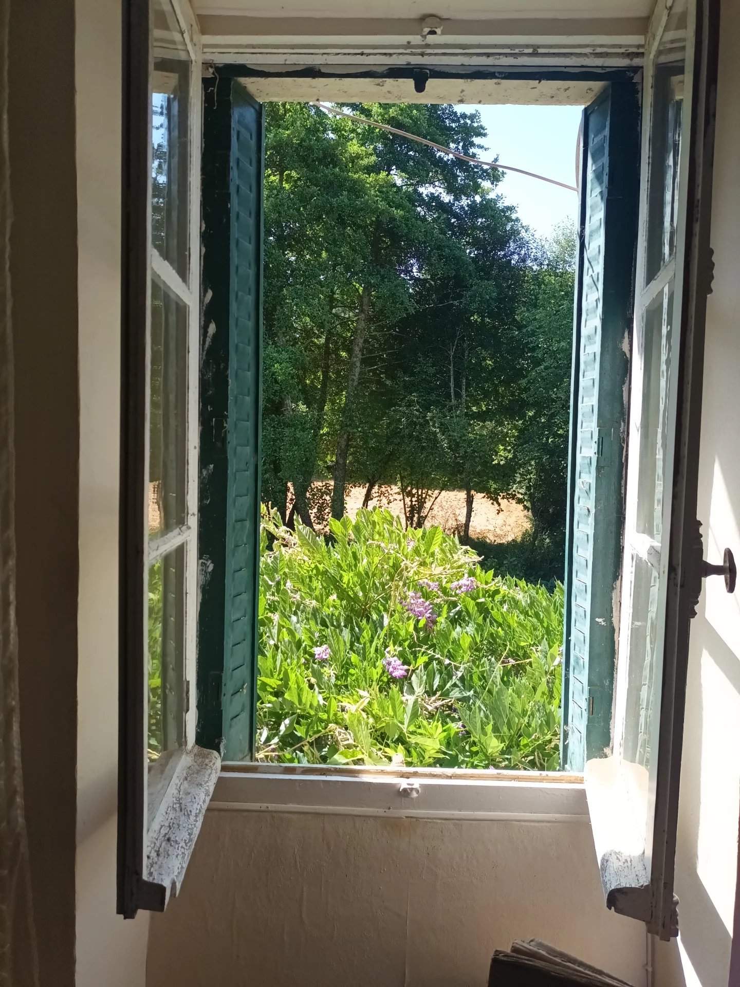 Charming Village Home with Endless Potential!, Poitou-Charentes – France – BVI81679