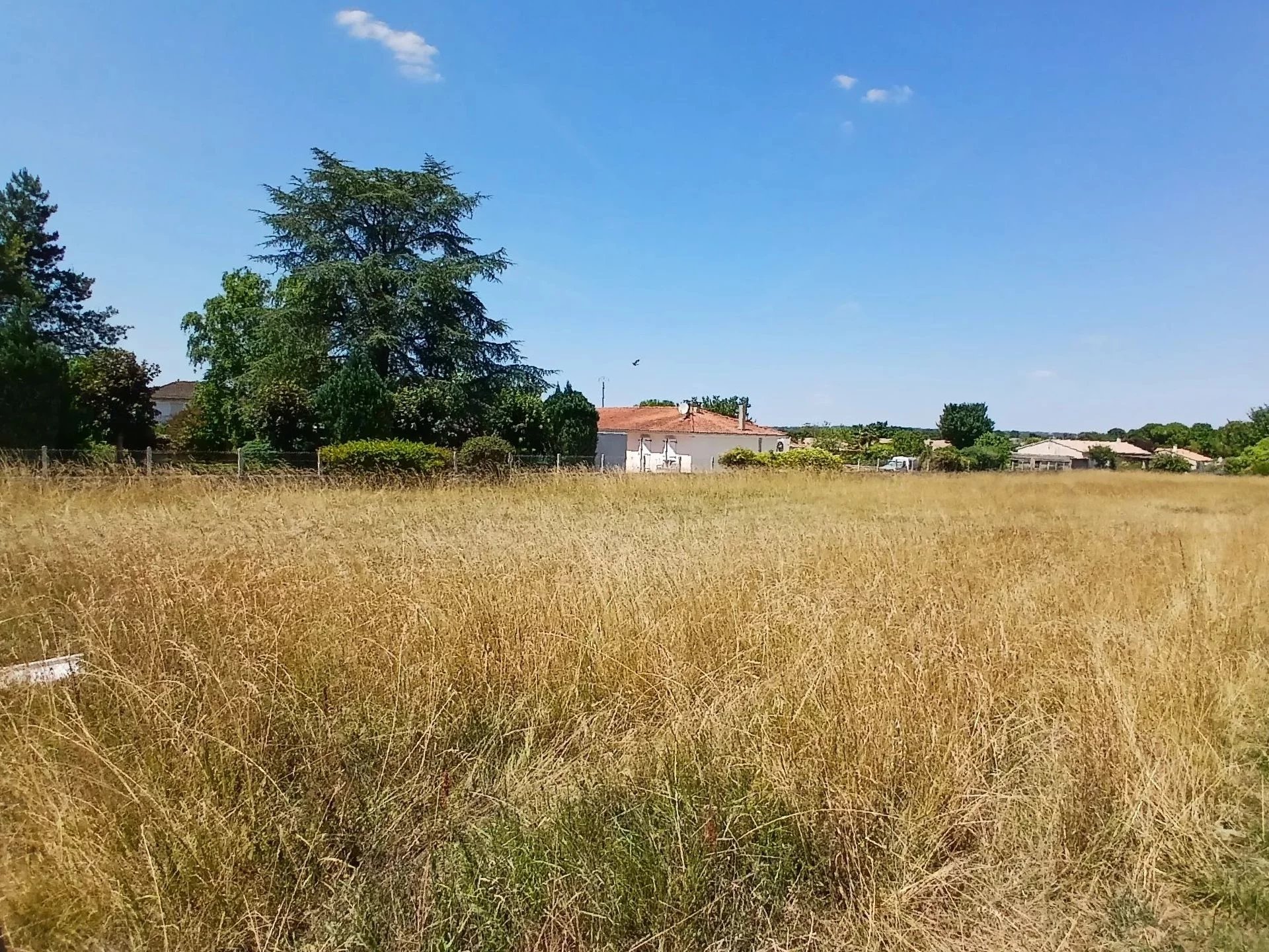 Building land, Poitou-Charentes – France – BVI81479