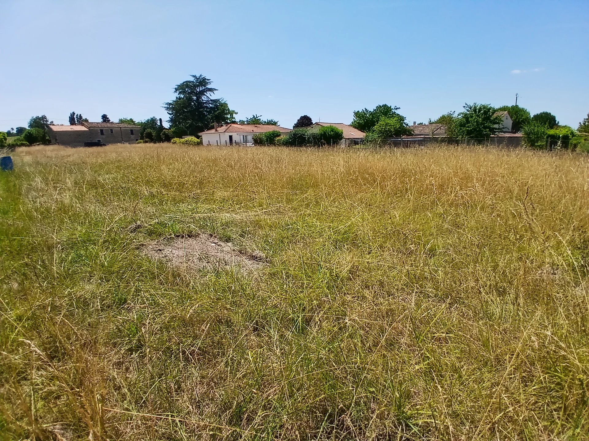 Building land, Poitou-Charentes – France – BVI81479