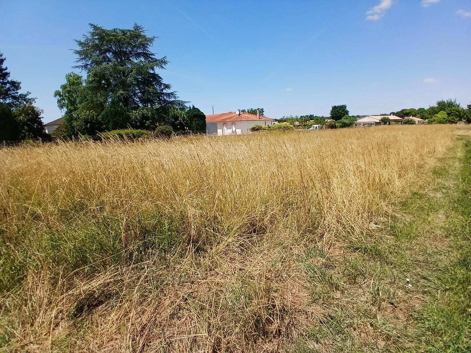 Building land, Poitou-Charentes – France – BVI81479