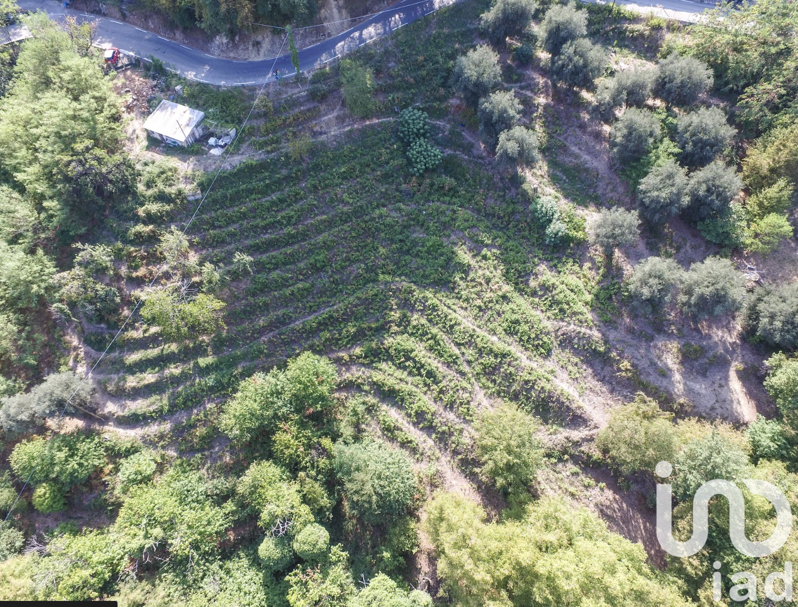 Terrain in Sainte Agnes, FR – 1796292
