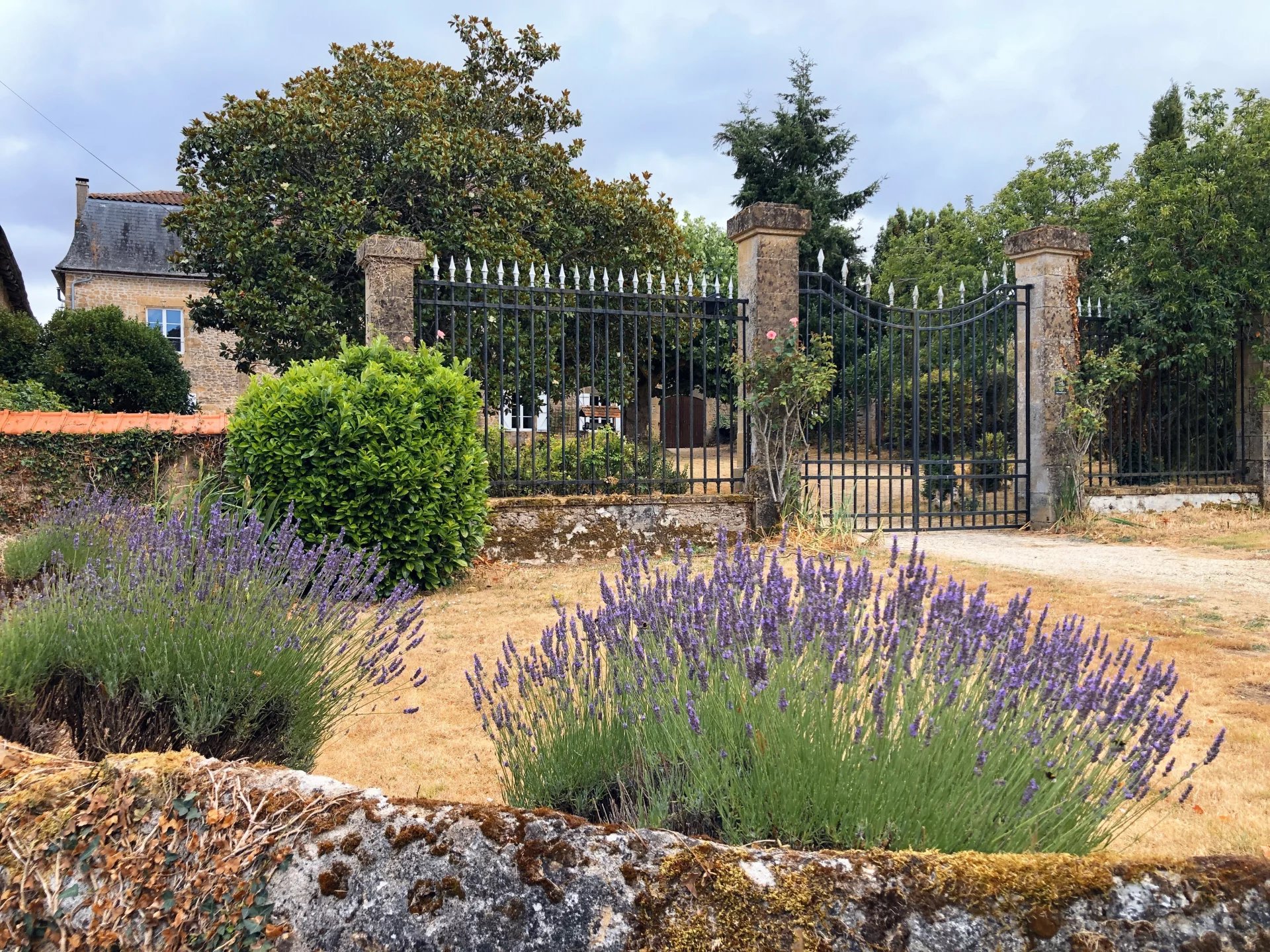 Beautiful Manor House with land, Poitou-Charentes – France – BVI81735