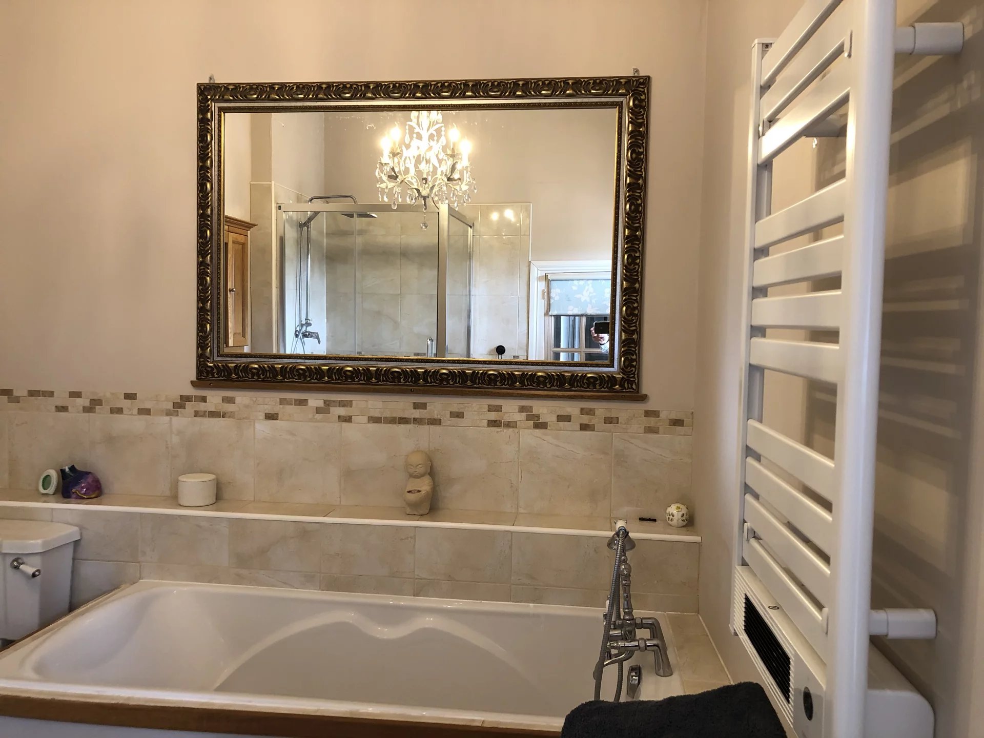 Beautiful Manor House with land, Poitou-Charentes – France – BVI81735