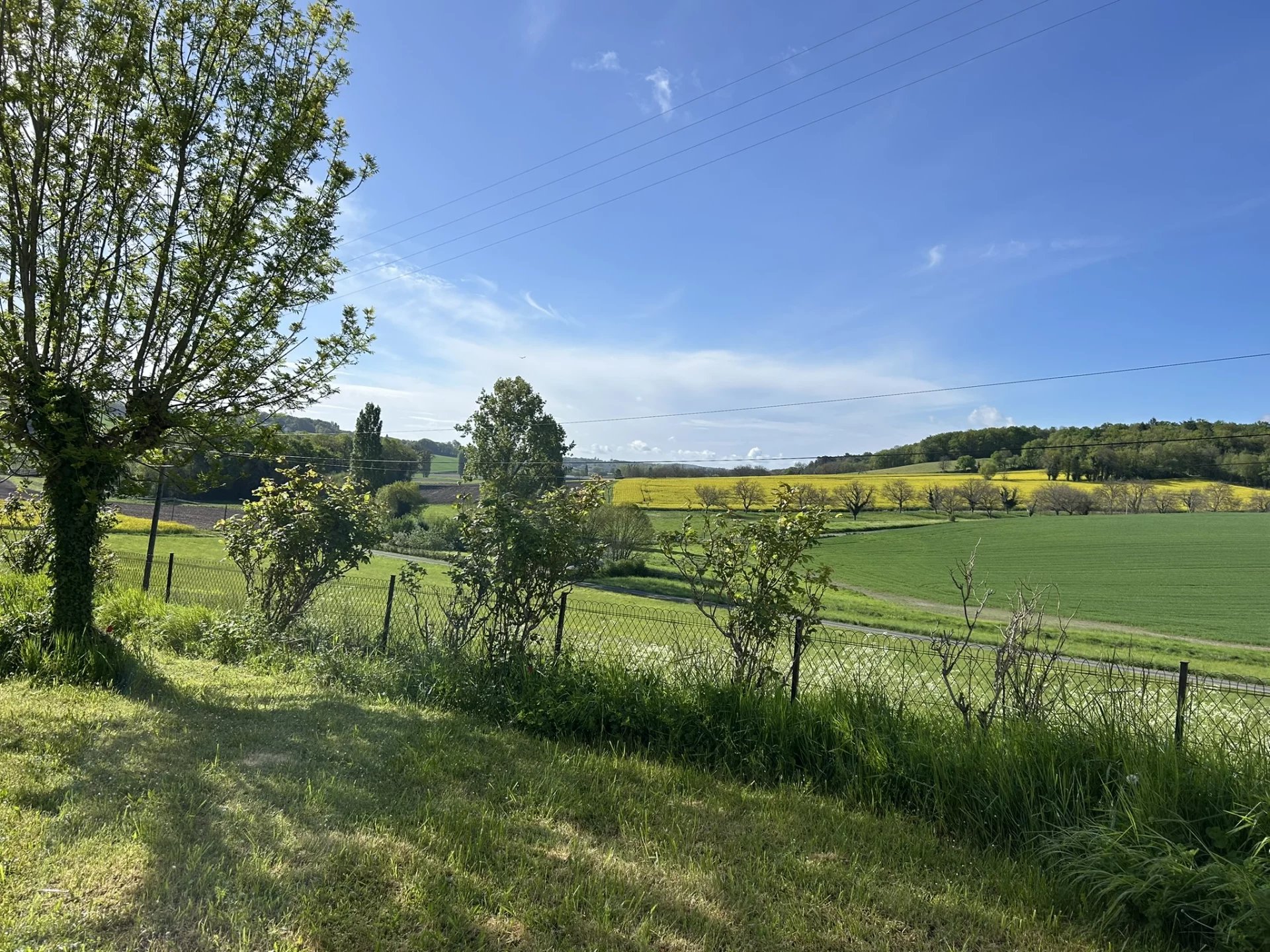 Two character houses and a large barn, Poitou-Charentes – France – BVI80689