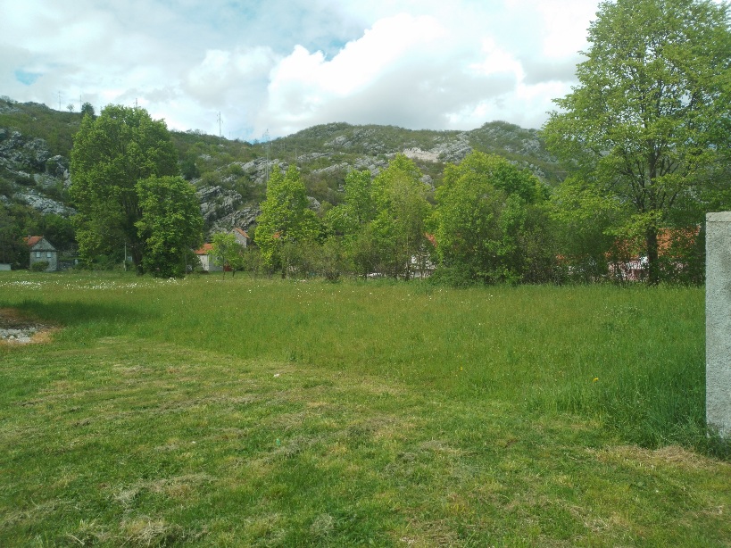 Plot in , Montenegro – CMM52056