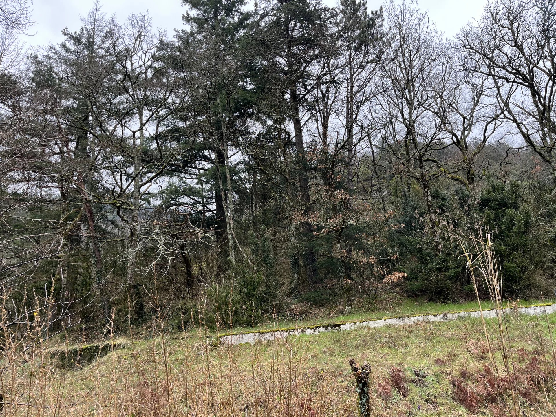 Charming bungalow, Languedoc-Roussillon – France – BVI79688