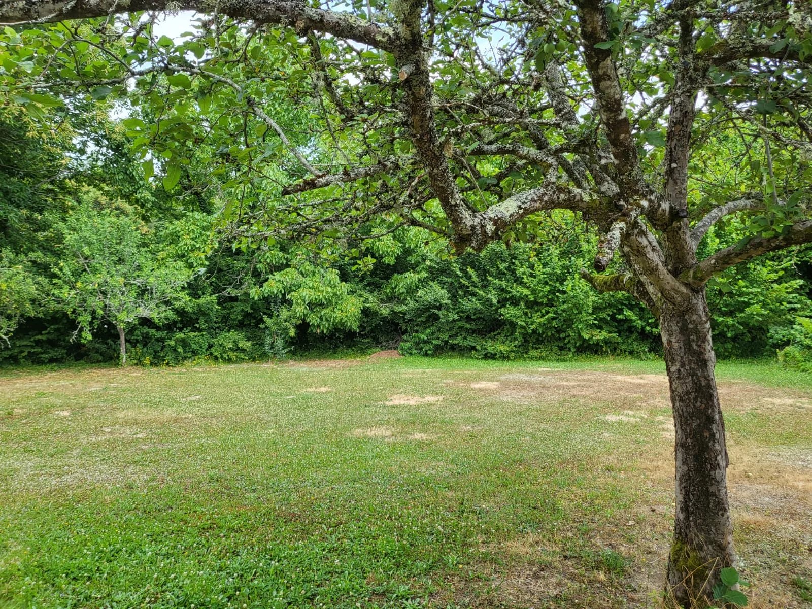 Comfortable house in hamlet with potential for development, Limousin – France – BVI81698