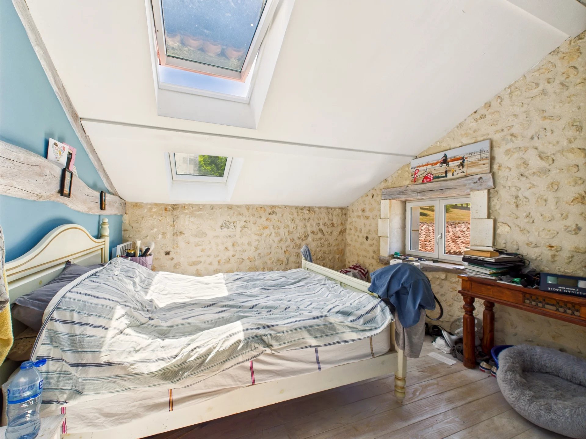 Charming property with breathtaking views, Poitou-Charentes – France – BVI81059