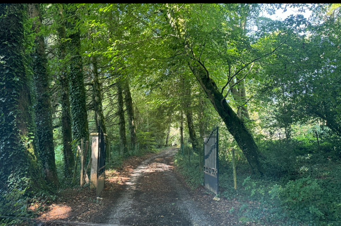 11 bedroom demeure in Saissac, Aude, France – C7F873472B6646B5