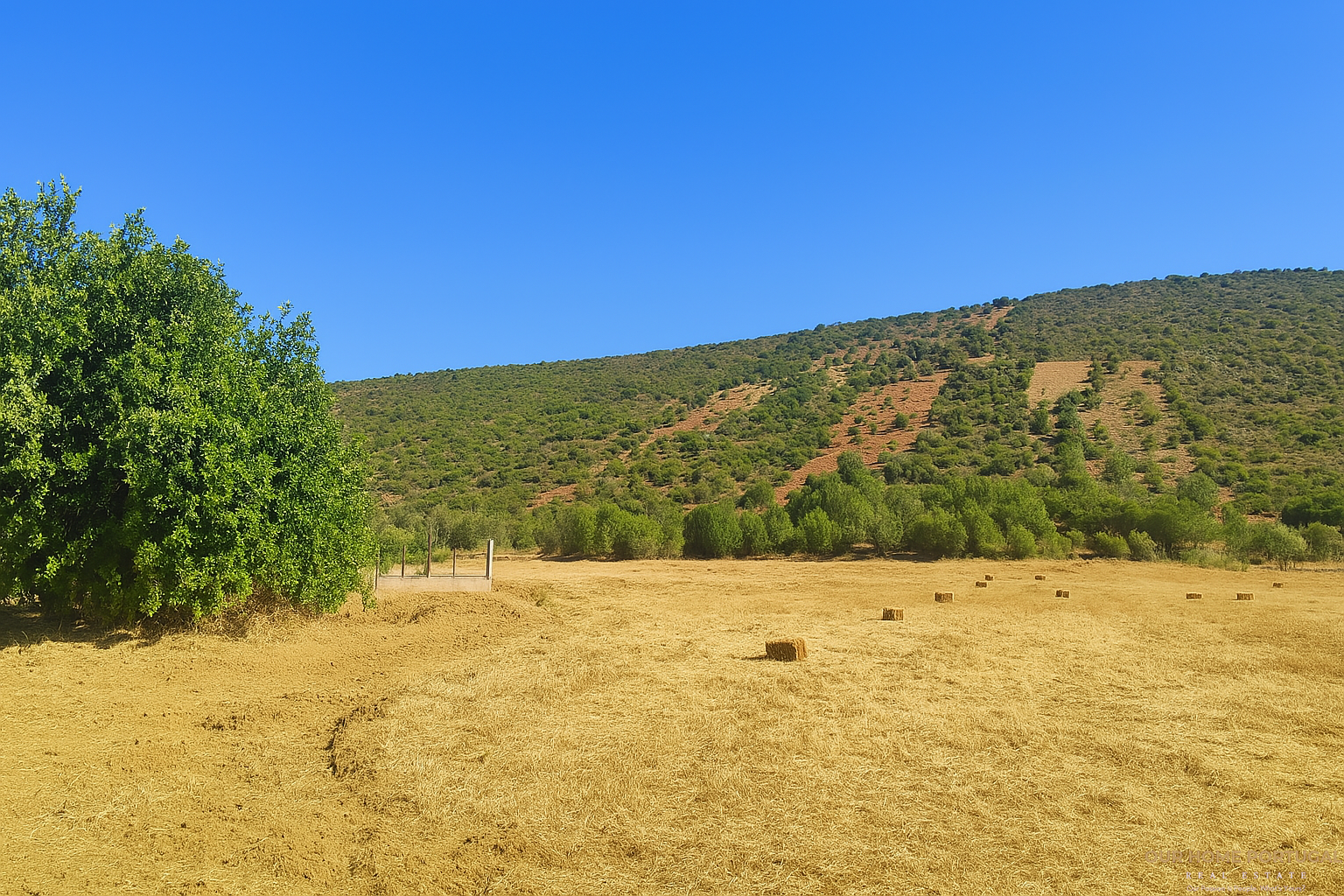 Land in Querença, Tôr E Benafim, Algarve, Portugal – OHP-005-138