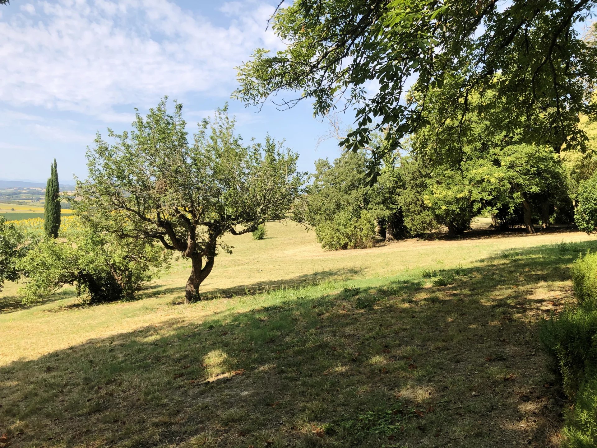 Cailhau – Family home on the edge of a picturesque village, Languedoc-Roussillon – France – BVI79129