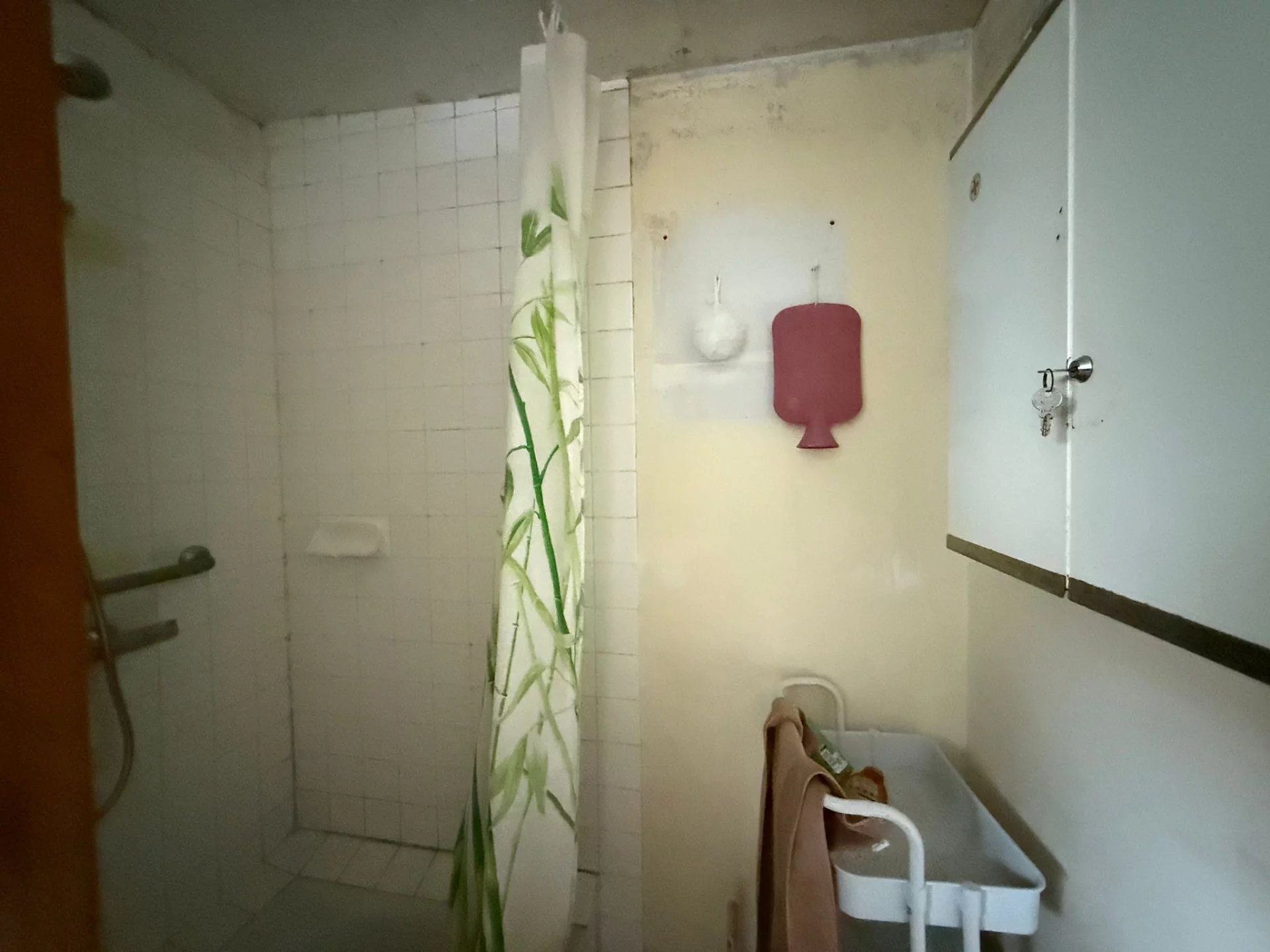 Beautiful 4-Bedroom Stone Property in a Tranquil Neighbourhood, Poitou-Charentes – France – BVI81013