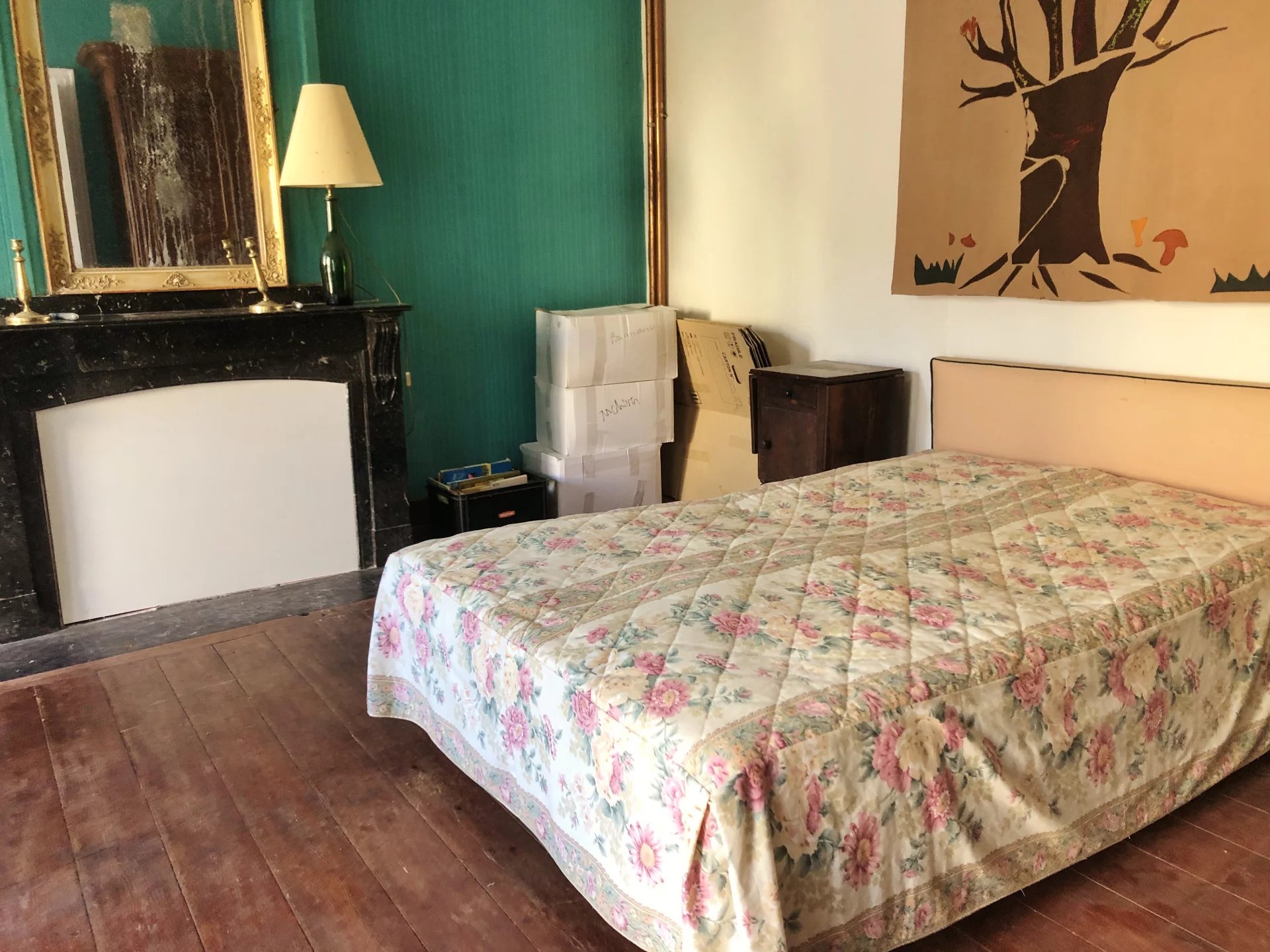 Cailhau – Large family home with impressive views over the Pyrenees, Languedoc-Roussillon – France – BVI81751