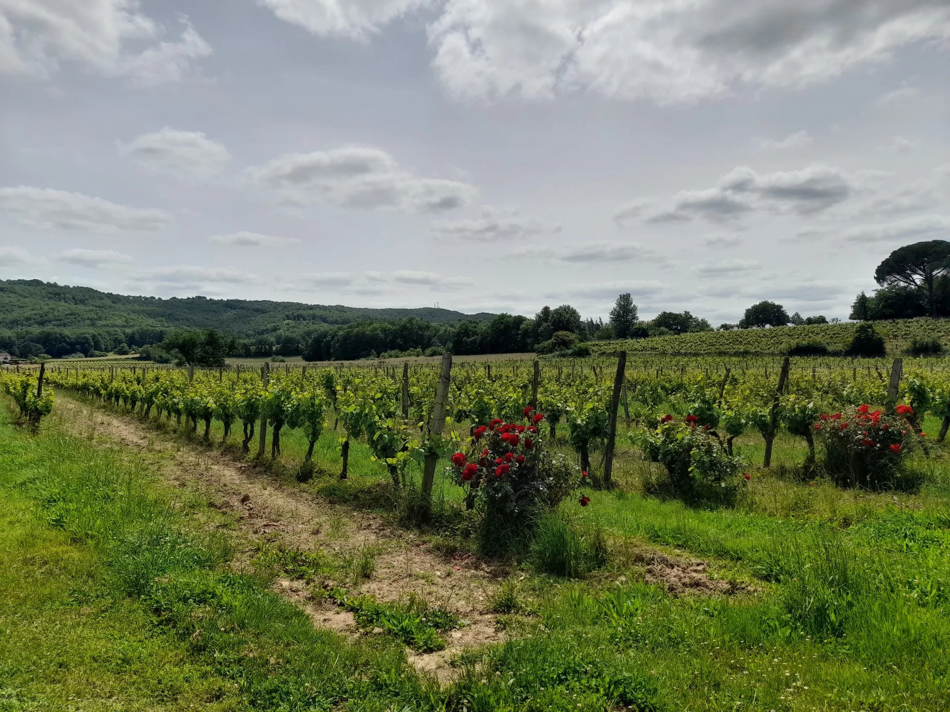 Beautiful manor house, Midi-Pyrénées – France – BVI75466