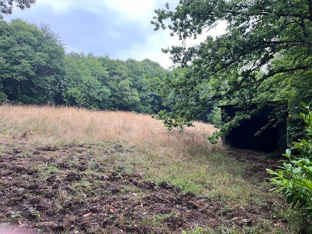 2 bedroom maison in Cussac, Haute-Vienne, France