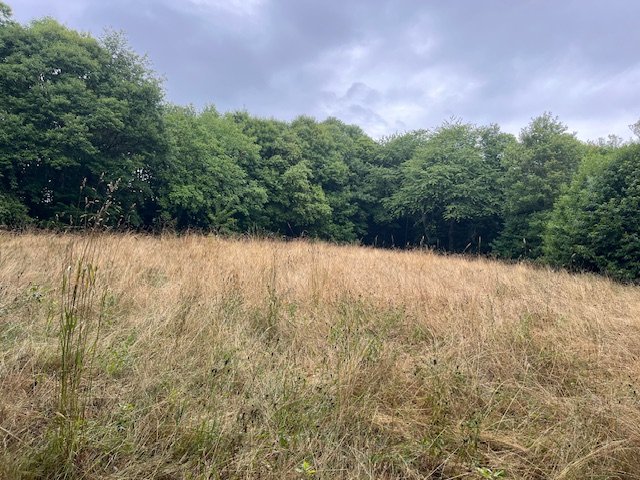 2 bedroom maison in Cussac, Haute-Vienne, France