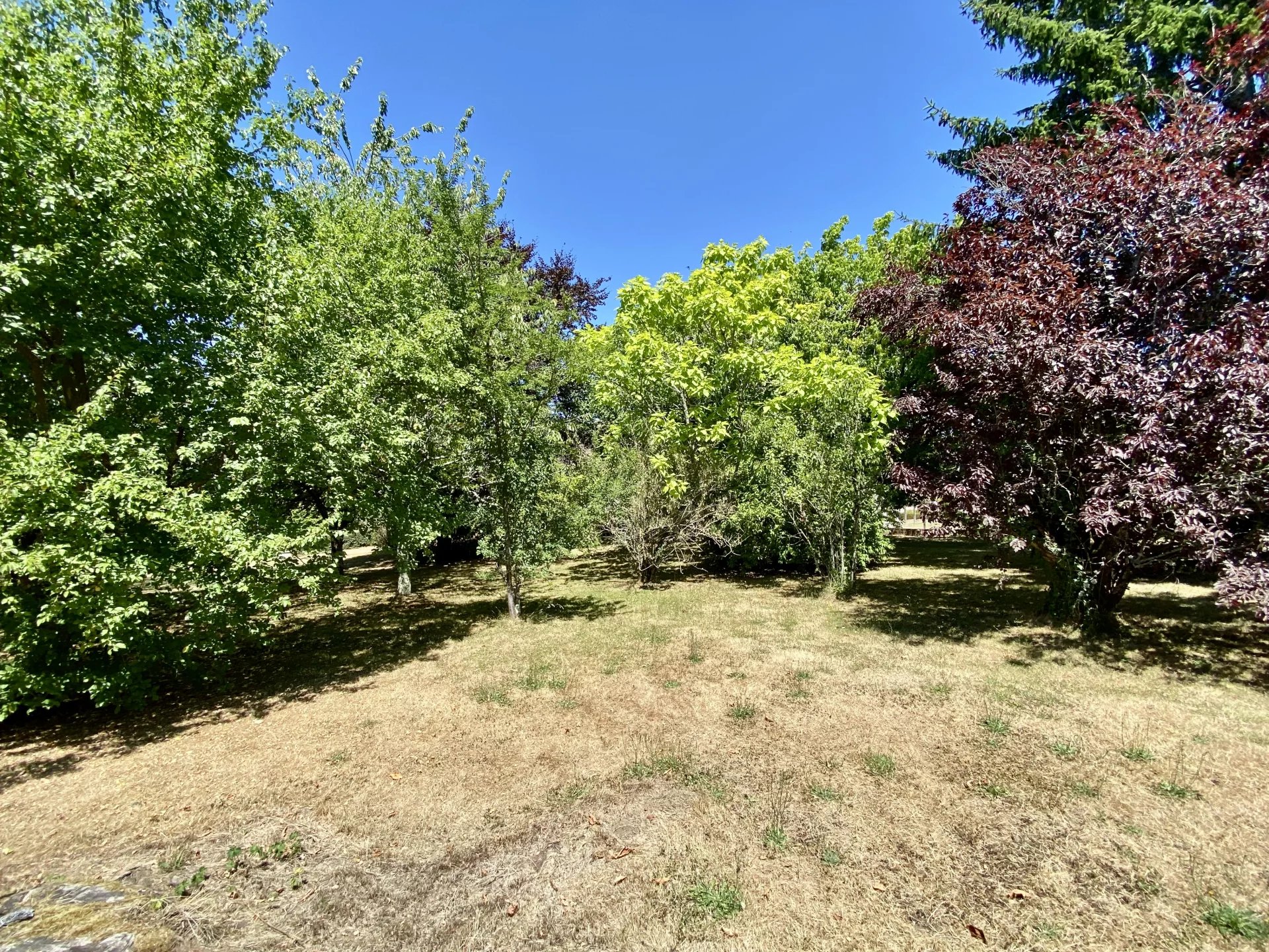 Spacious family home with large garden and excellent energy performance, Limousin – France – BVI82012