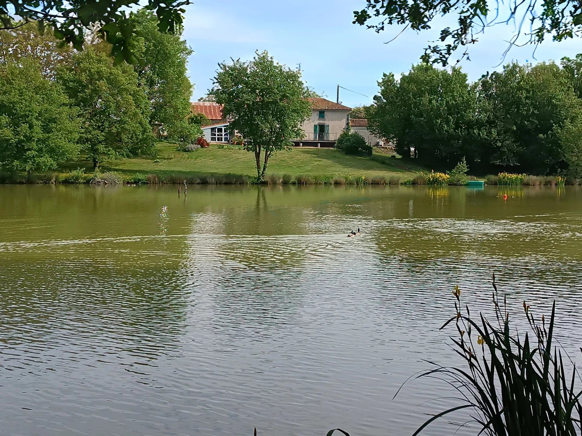 Exceptional location, 2 properties, a fishing pond and a business opportunity, Poitou-Charentes – France – BVI80731